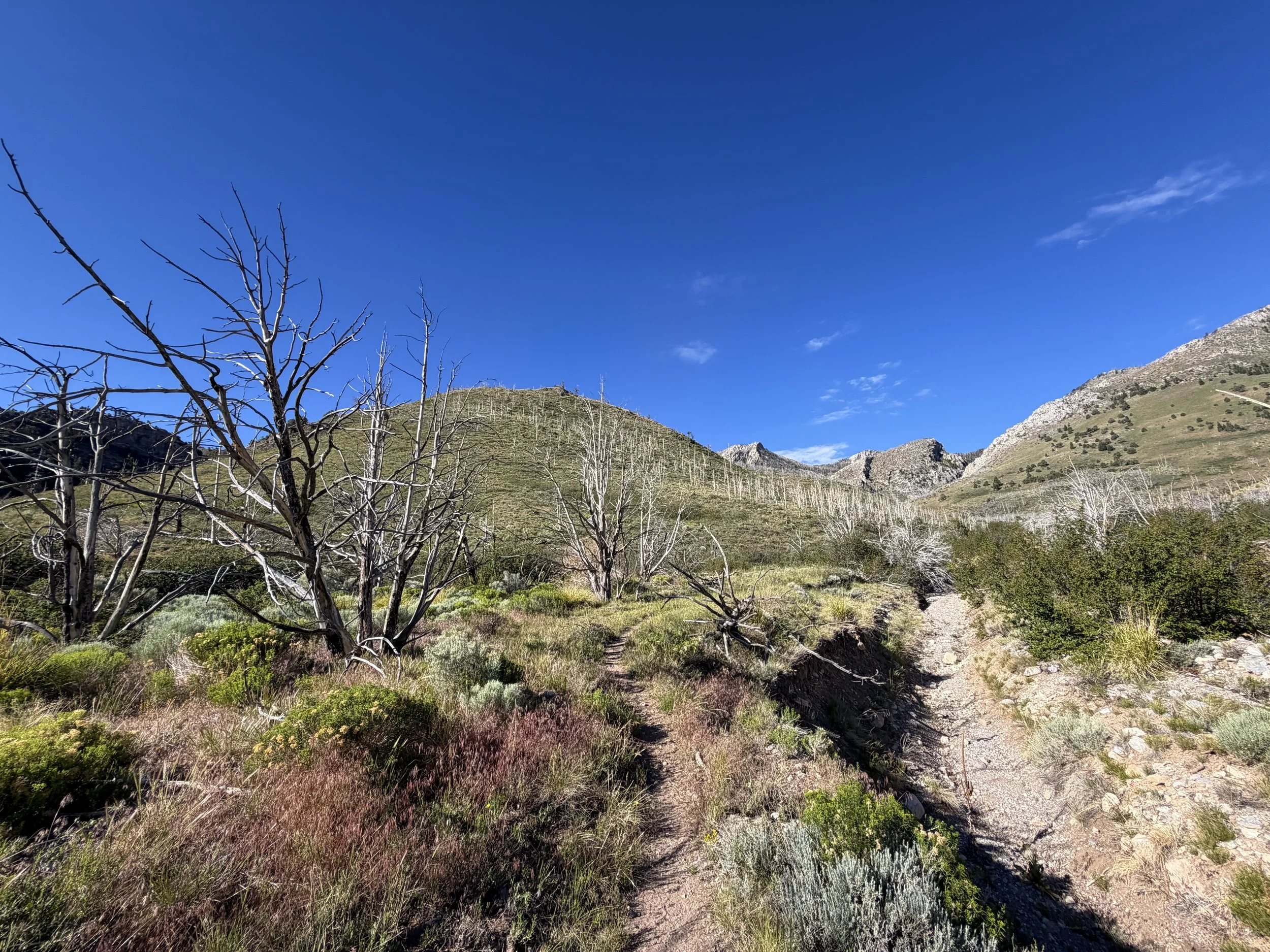 Lexington Arch Hike Great Basin National Park Nevada