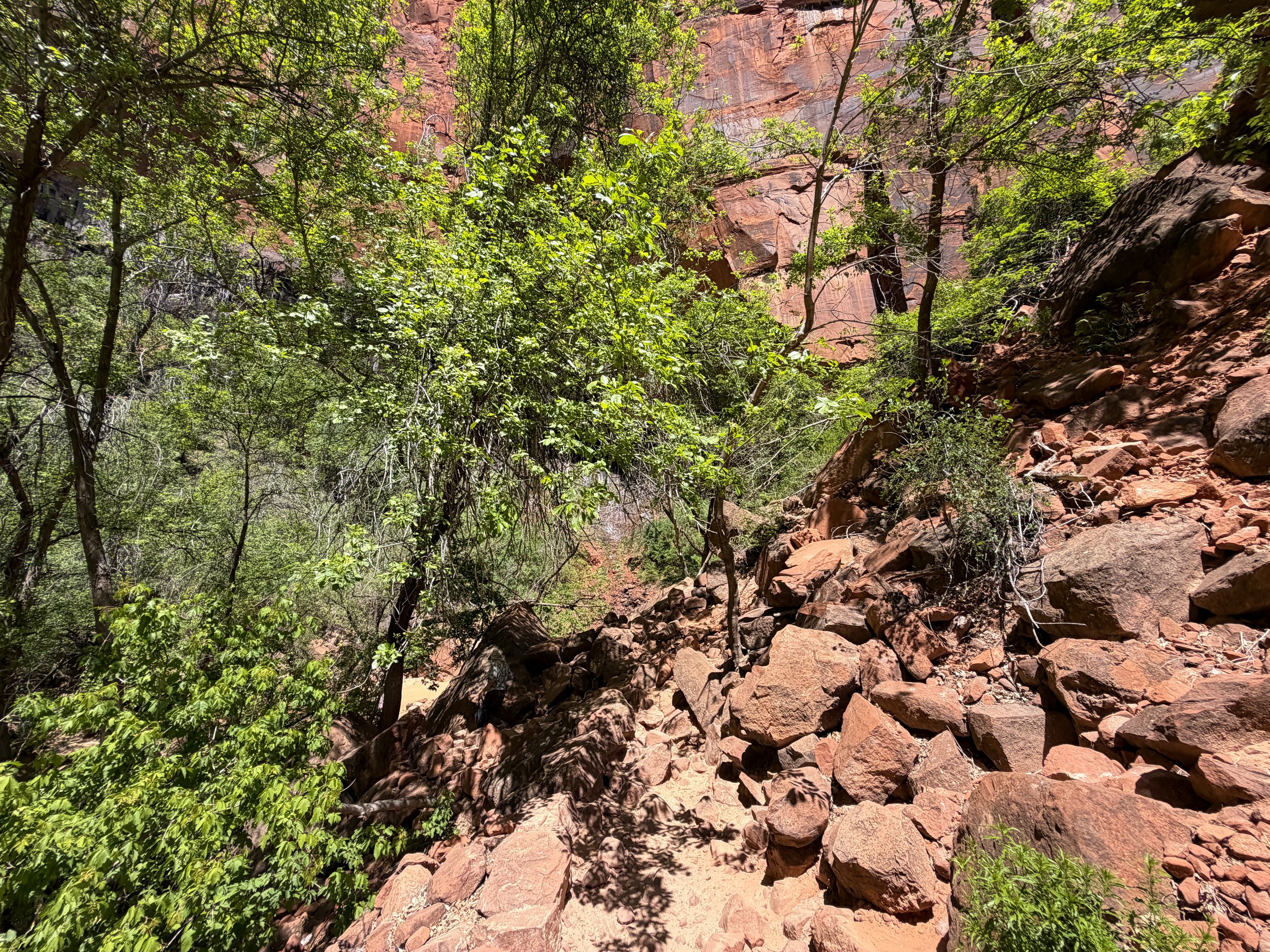 Upper Emerald Pool Trail Zion National Park Utah