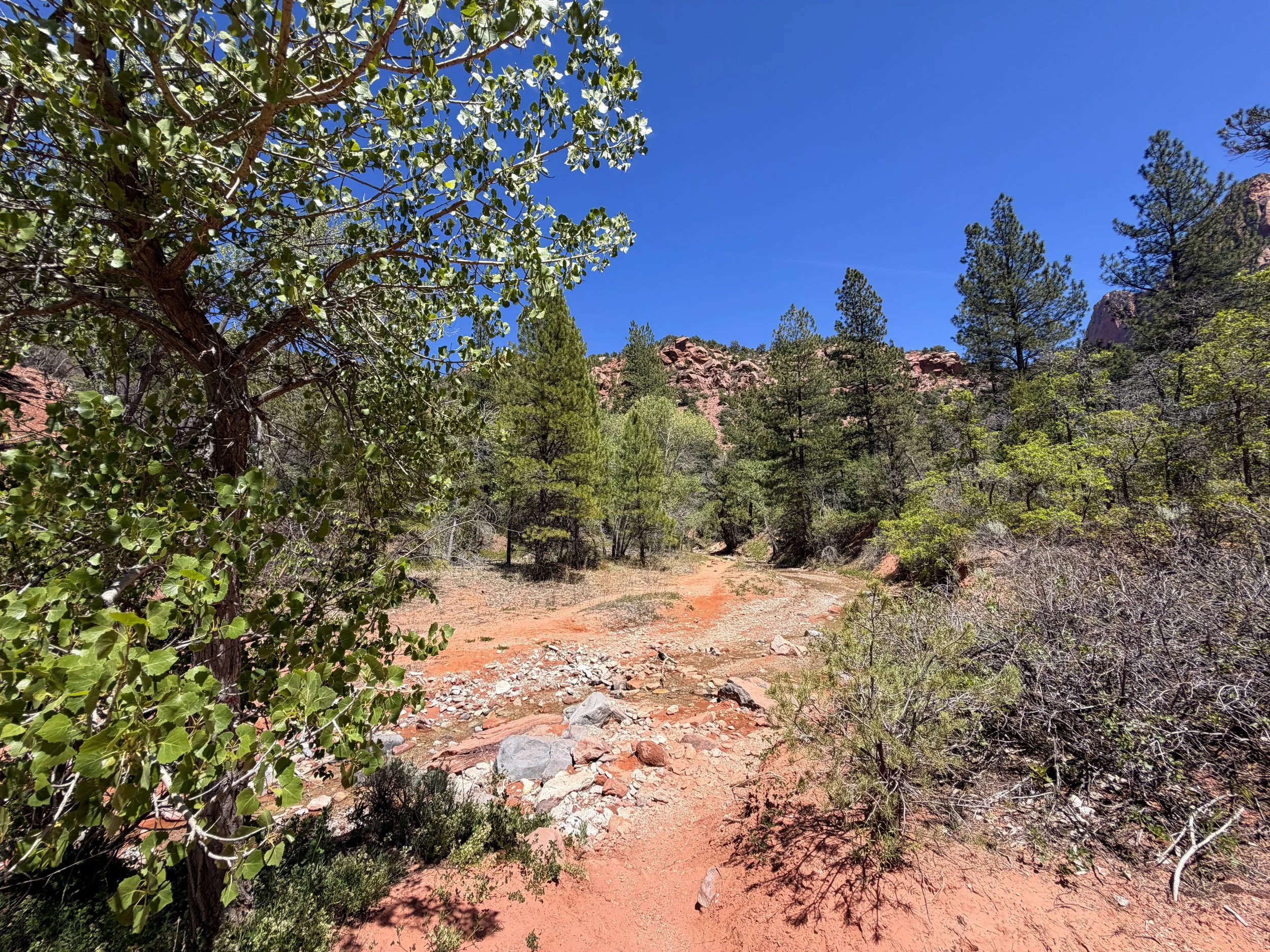 Middle Taylor Creek Trail Zion National Park Utah