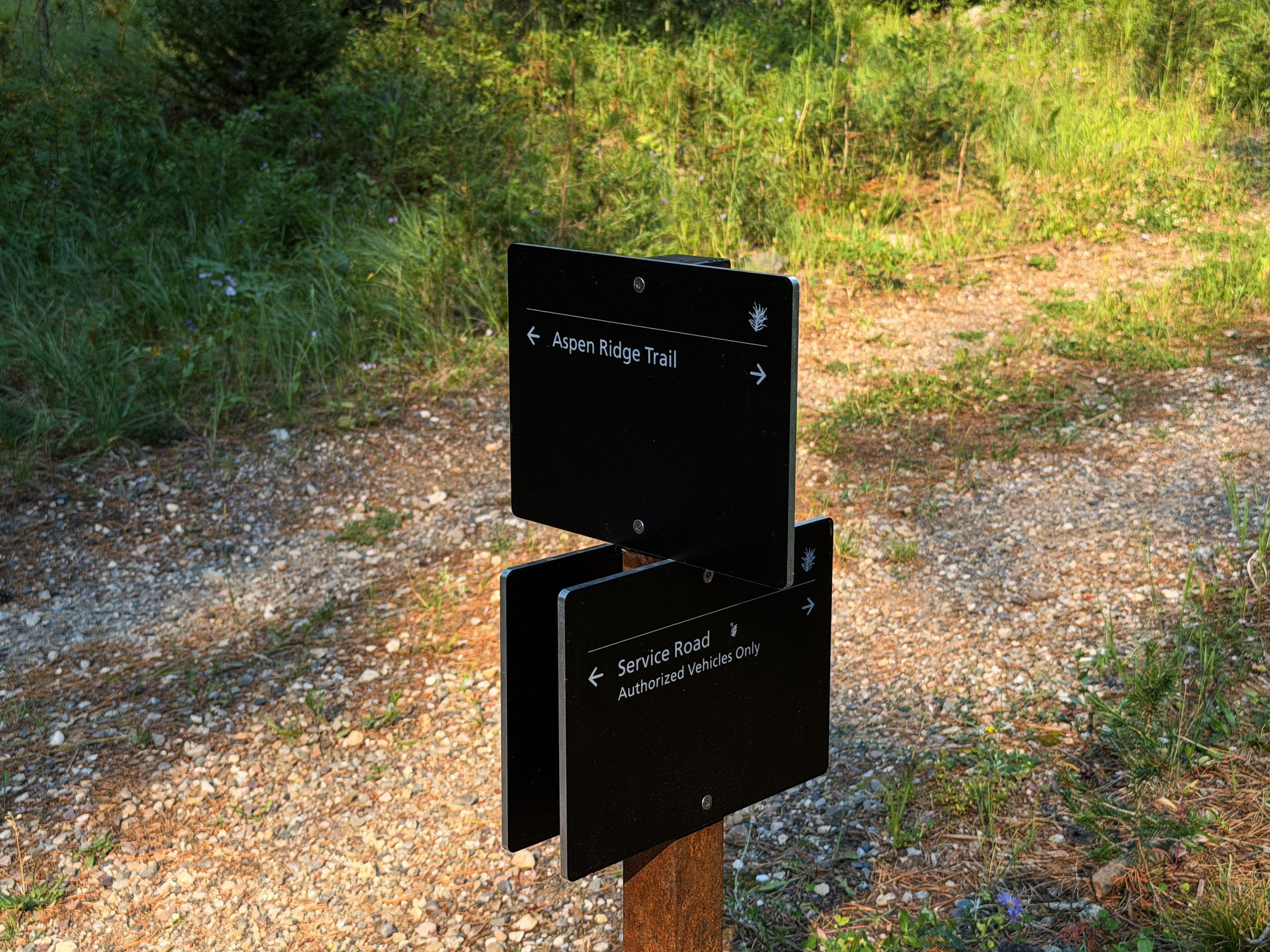 Aspen–Boulder Ridge Loop Trail Grand Teton National Park Wyoming