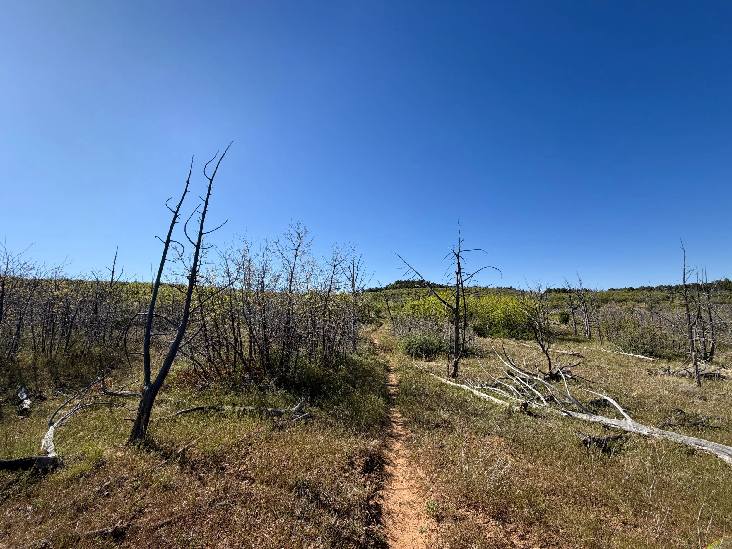 Deertrap Mountain Trail Zion National Park Utah
