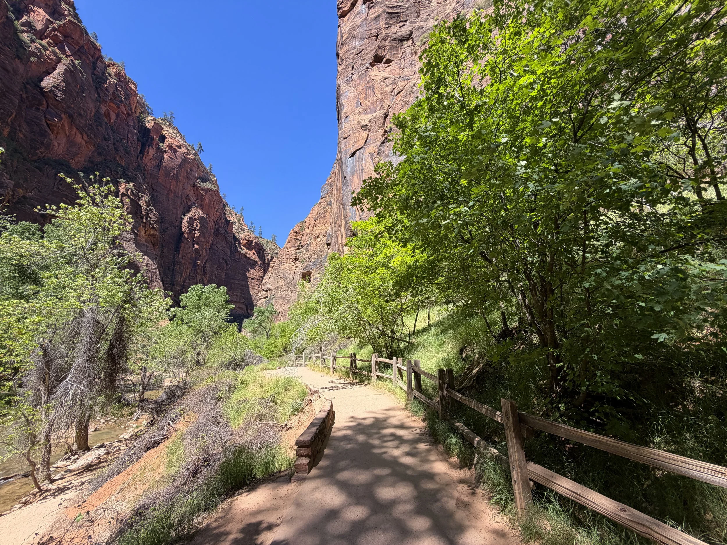 Riverside Walk to the Narrows Zion National Park Utah