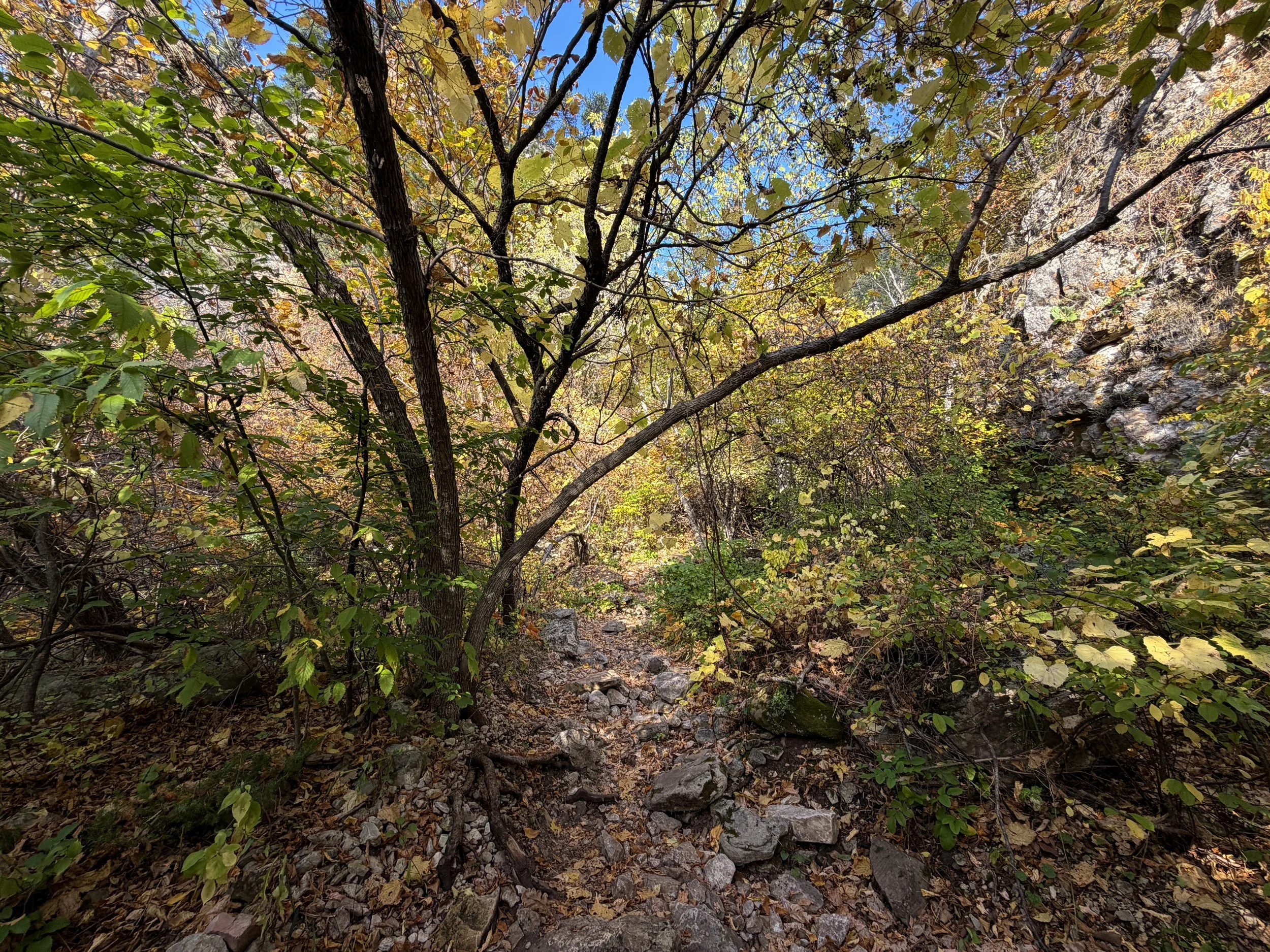 Community Caves Hike Spearfish Canyon Black Hills South Dakota
