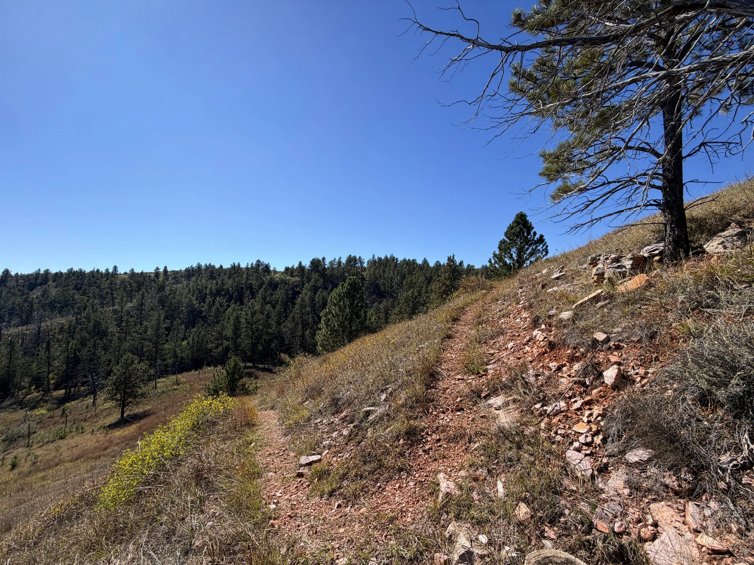 East Bison Flats Trail Switchbacks Wind Cave National Park South Dakota