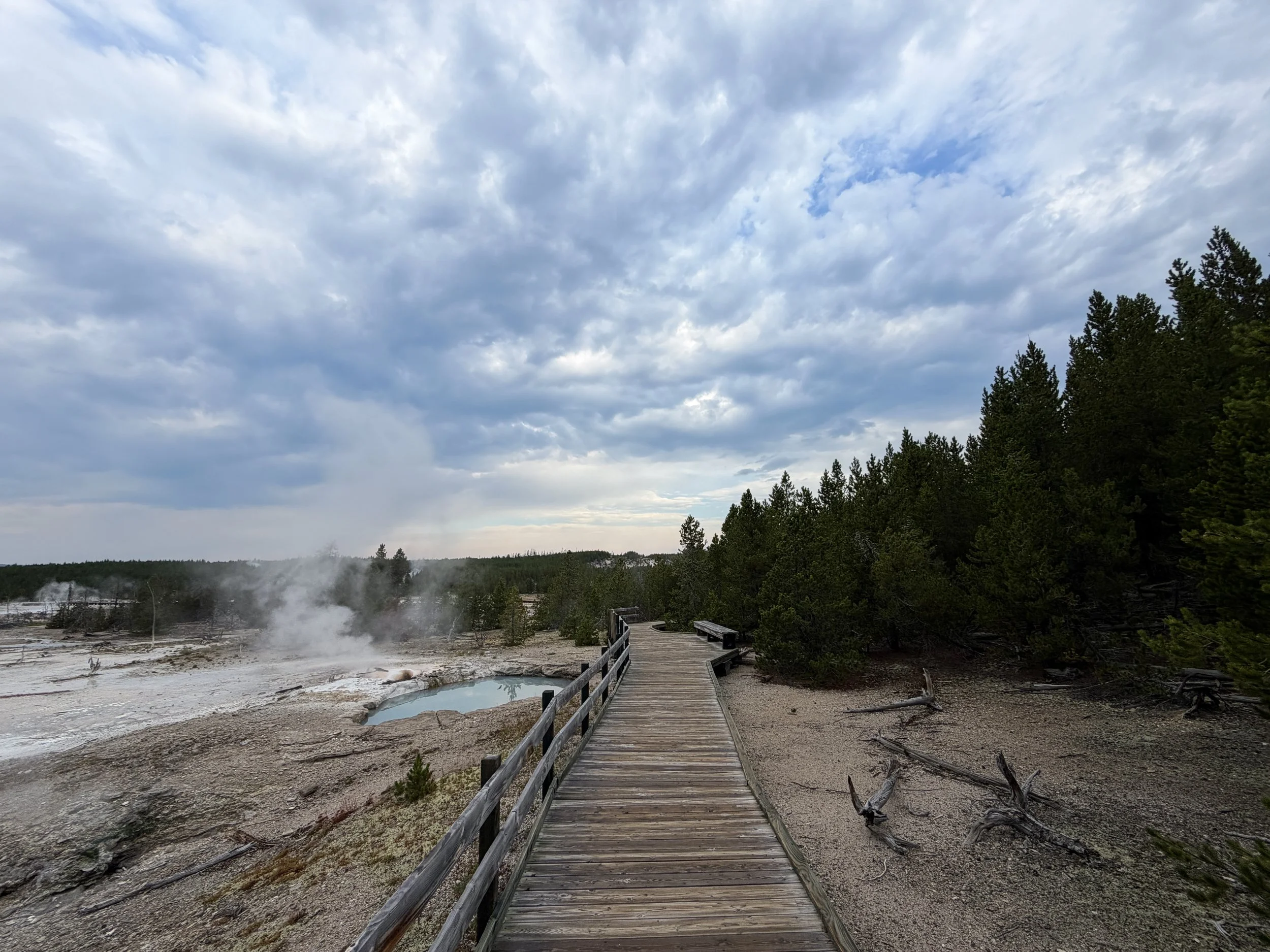 Back Basin Shortcut Trail Norris Geyser Basin Yellowstone National Park Wyoming