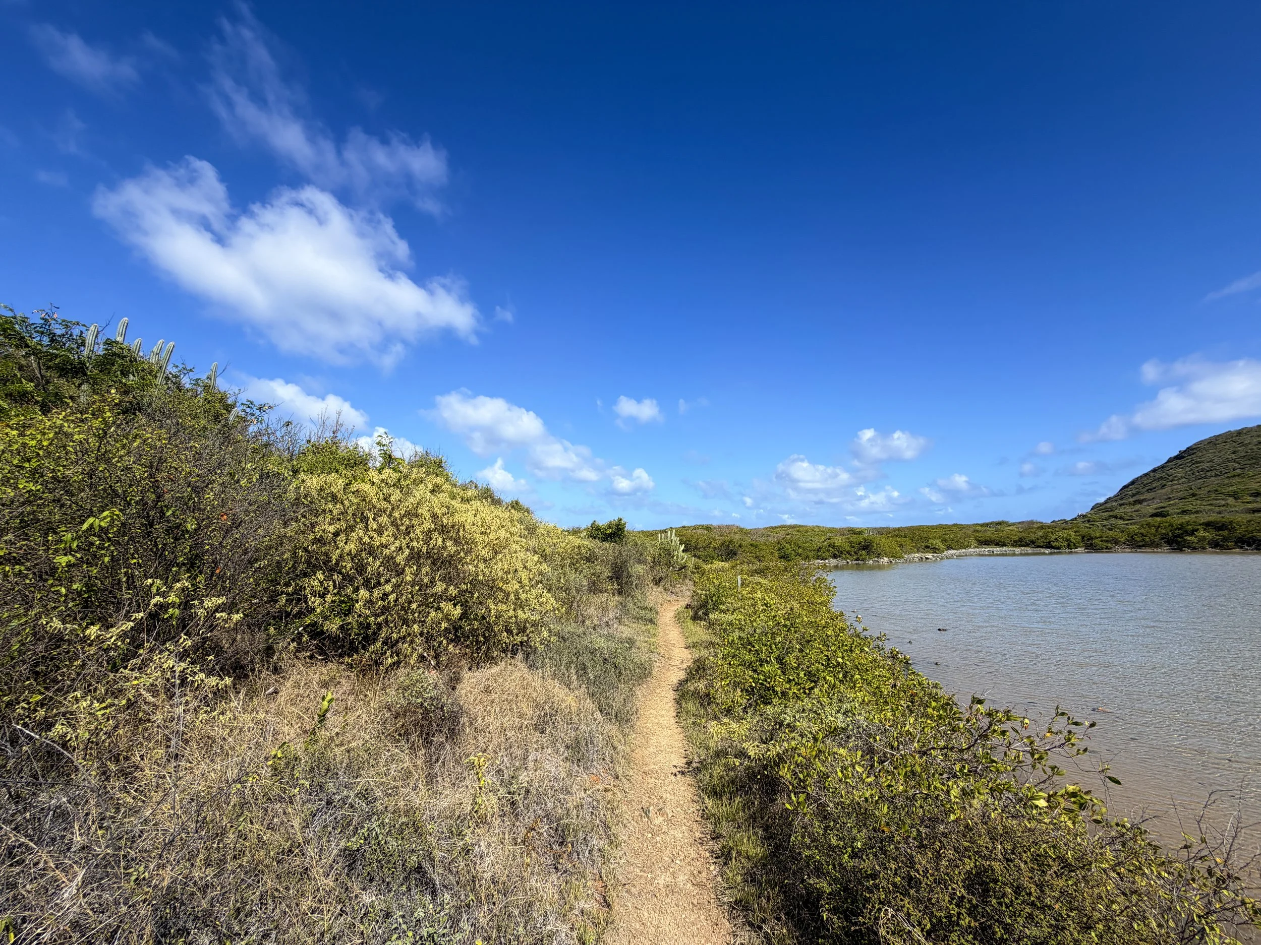 Drunk Bay Hike Virgin Islands National Park