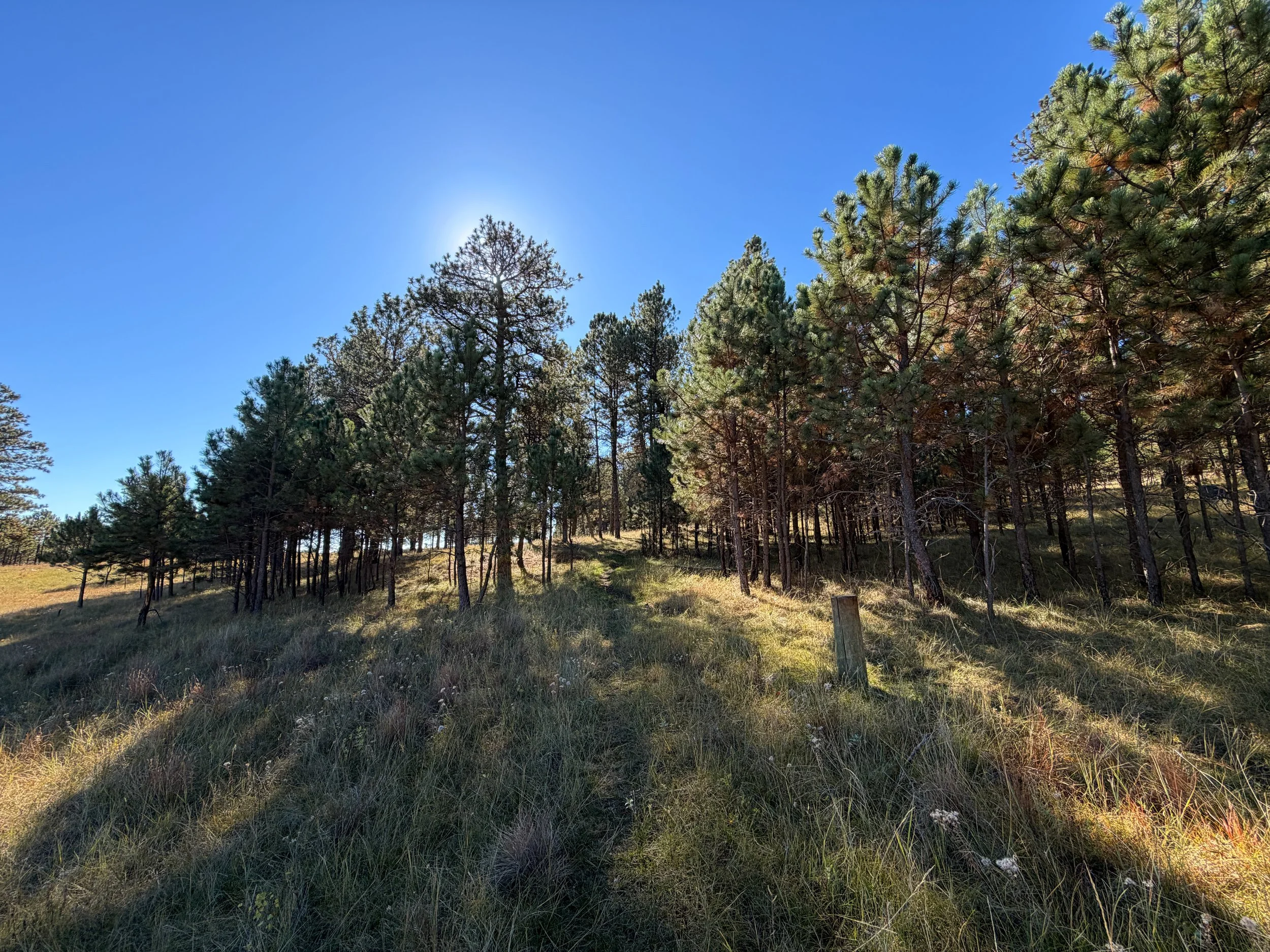 Sanctuary Trail Wind Cave National Park South Dakota