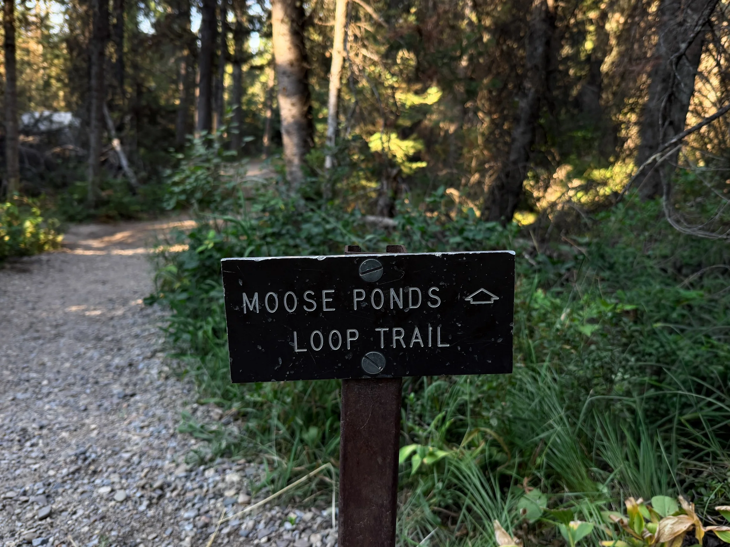 Hidden Falls via Jenny Lake Trail Grand Teton National Park Wyoming