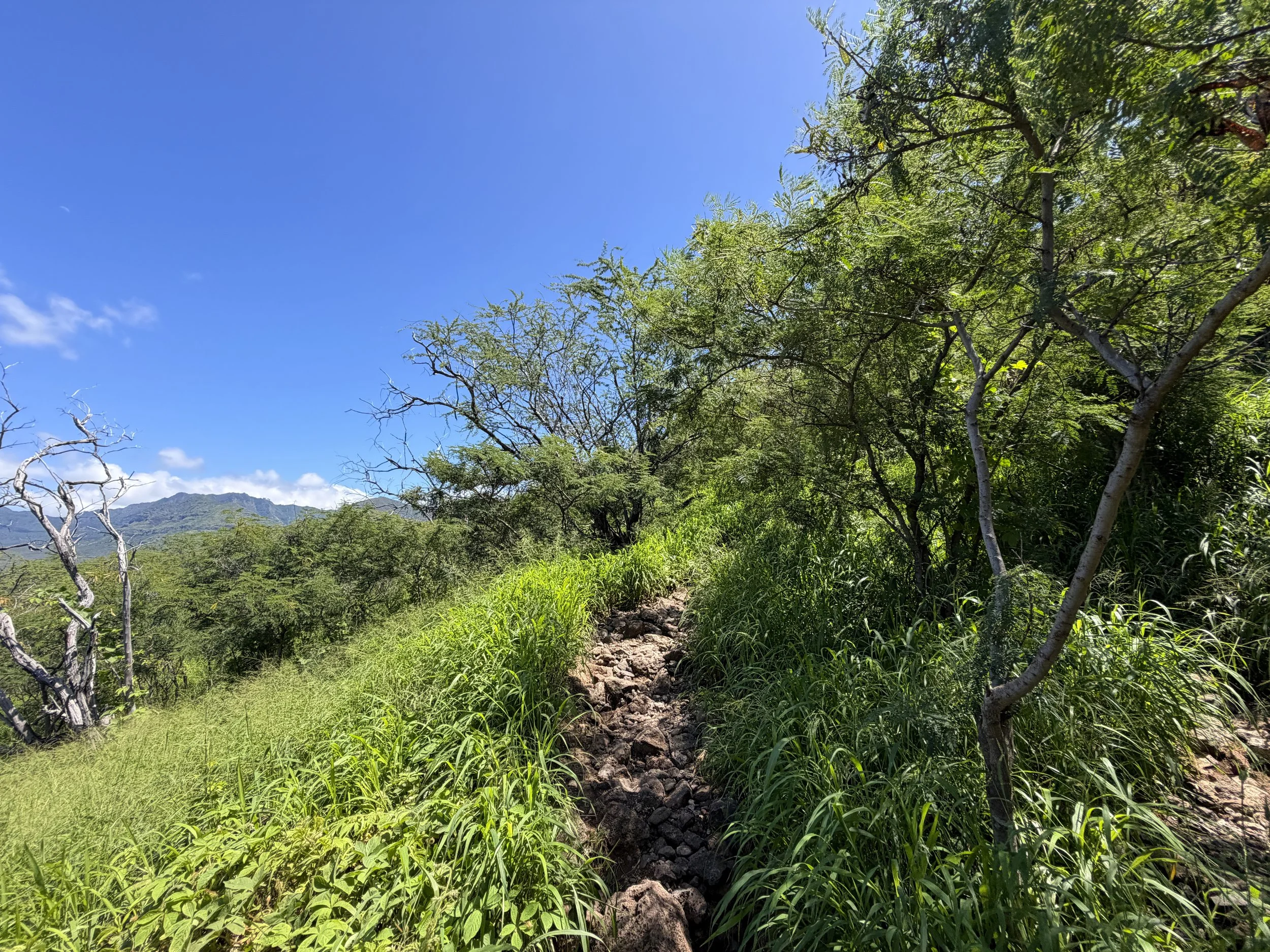 Puu O Hulu Trail Oahu Hawaii