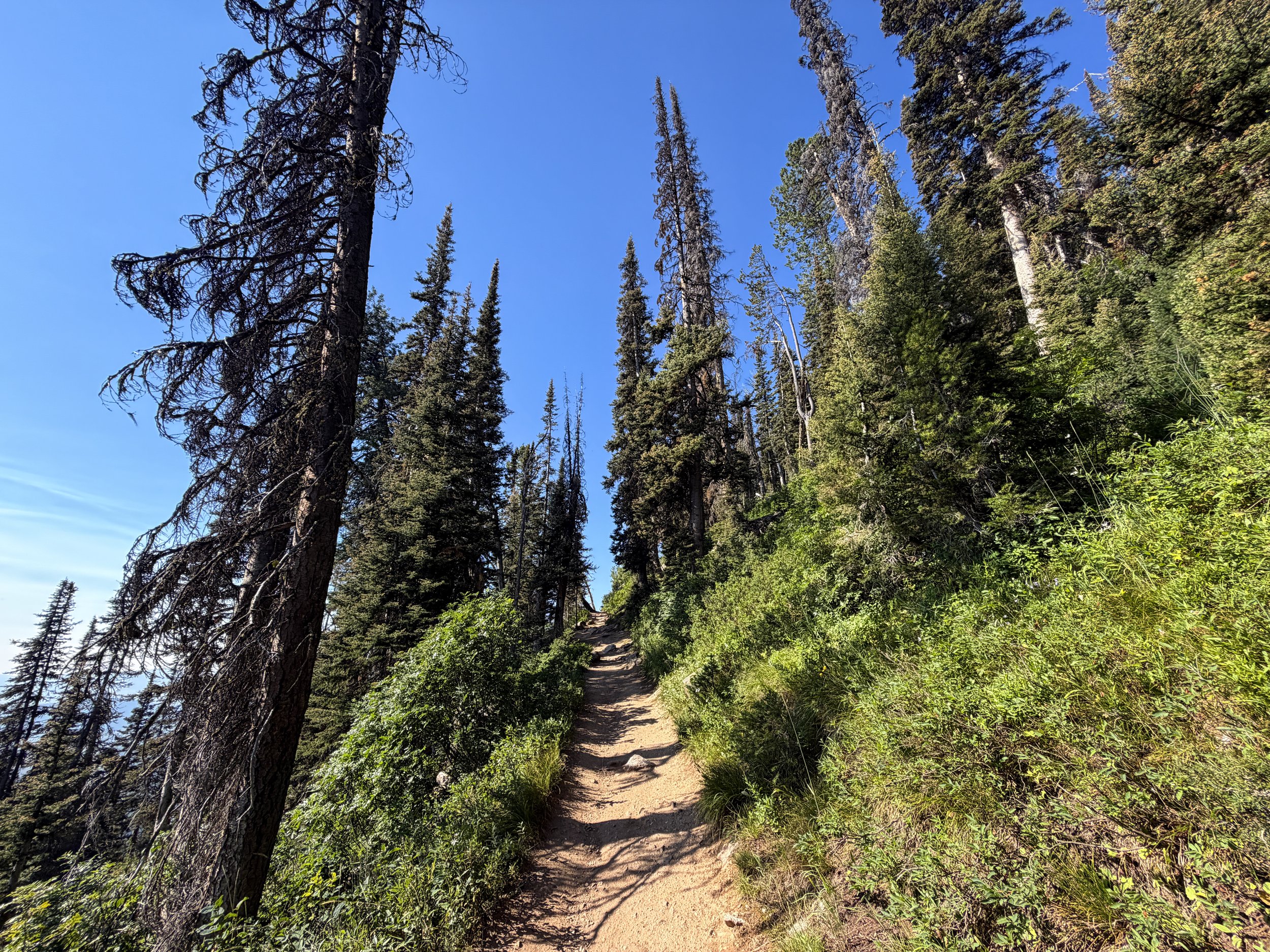 Delta Lake Trail via Lupine Meadows Grand Teton National Park Wyoming