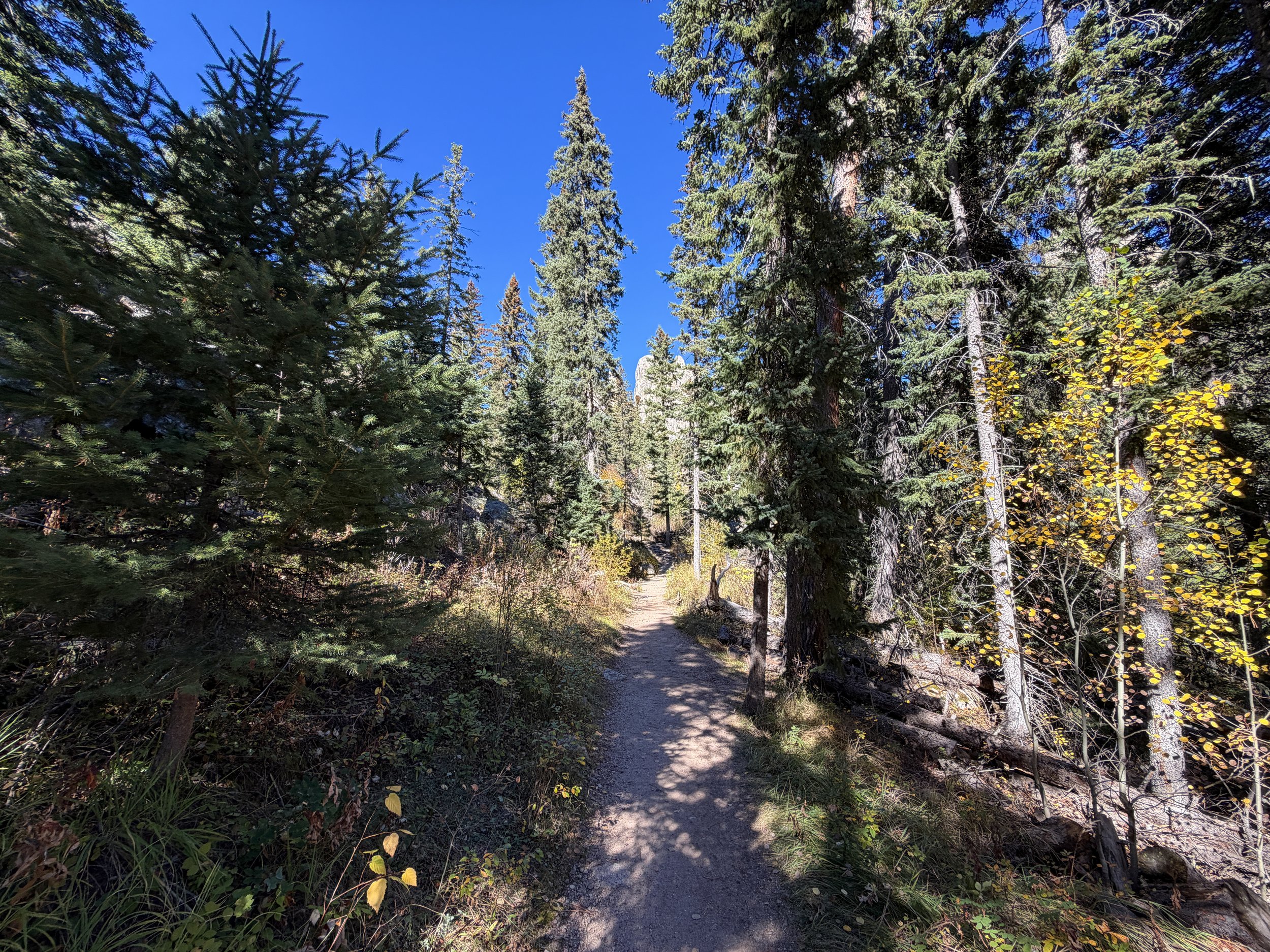 Cathedral Spires Trail Custer State Park Black Hills South Dakota