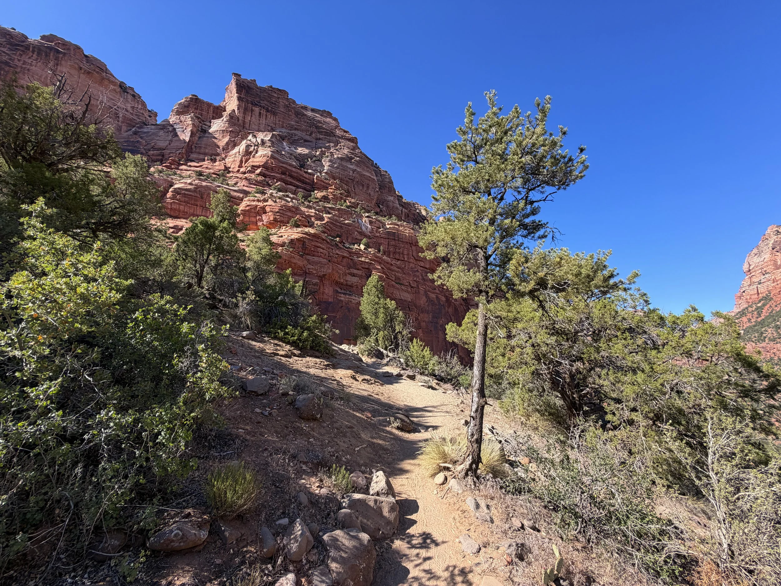 Left Fork Trail to the Subway Zion National Park Utah