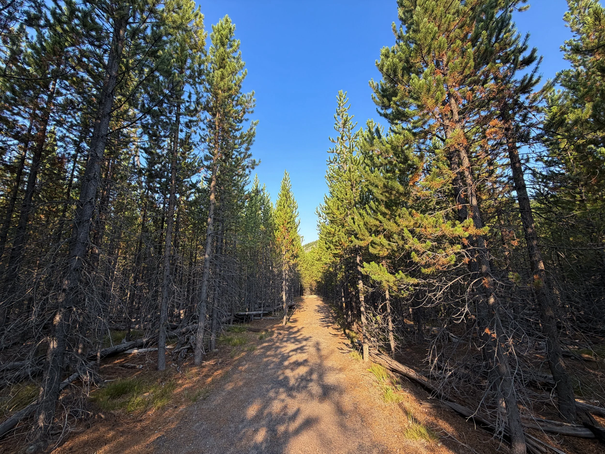 Mystic Falls Hike Yellowstone National Park Wyoming