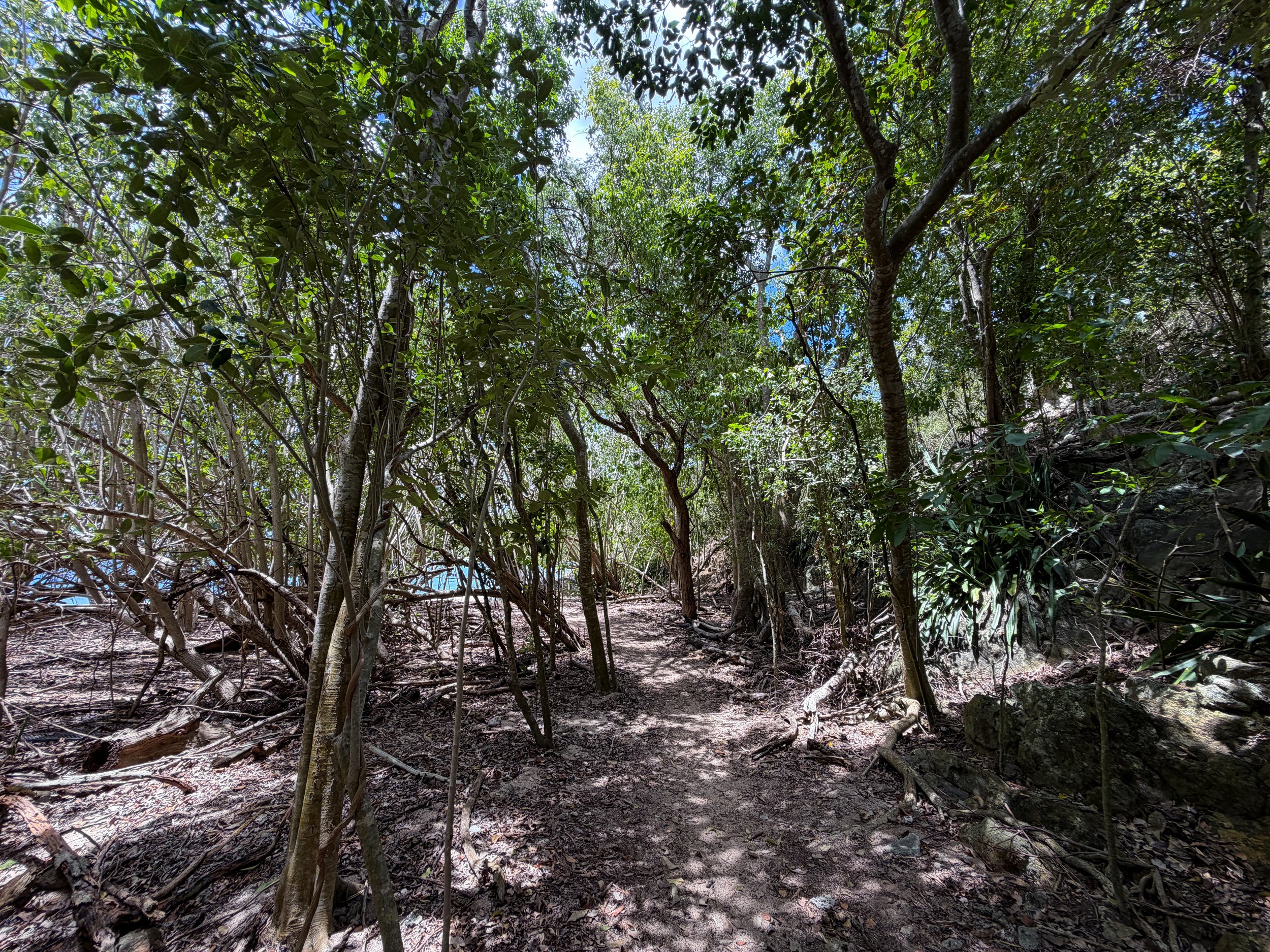 Reef Bay Trail Virgin Islands National Park