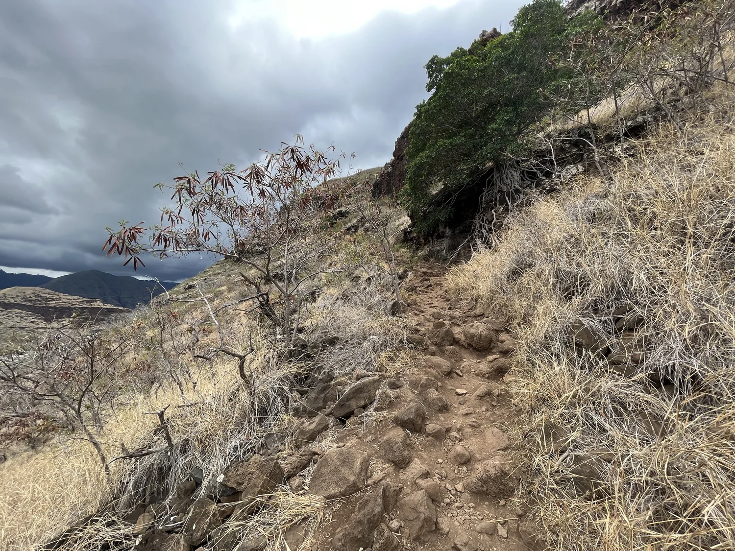Hiking the Puʻu O Hulu Trail (Pink Pillbox) on Oʻahu — noahawaii
