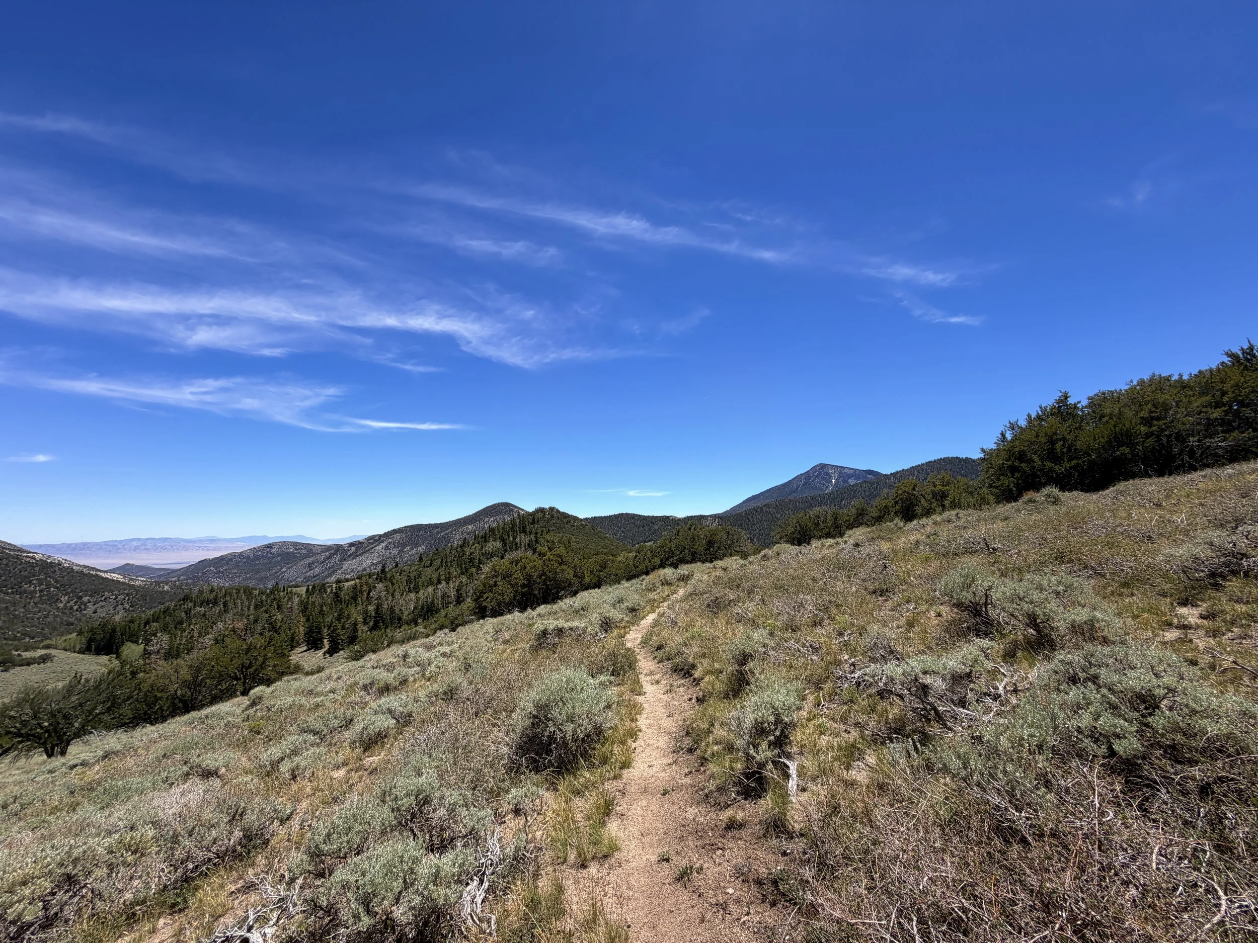 Serviceberry Loop Trail Great Basin National Park Nevada