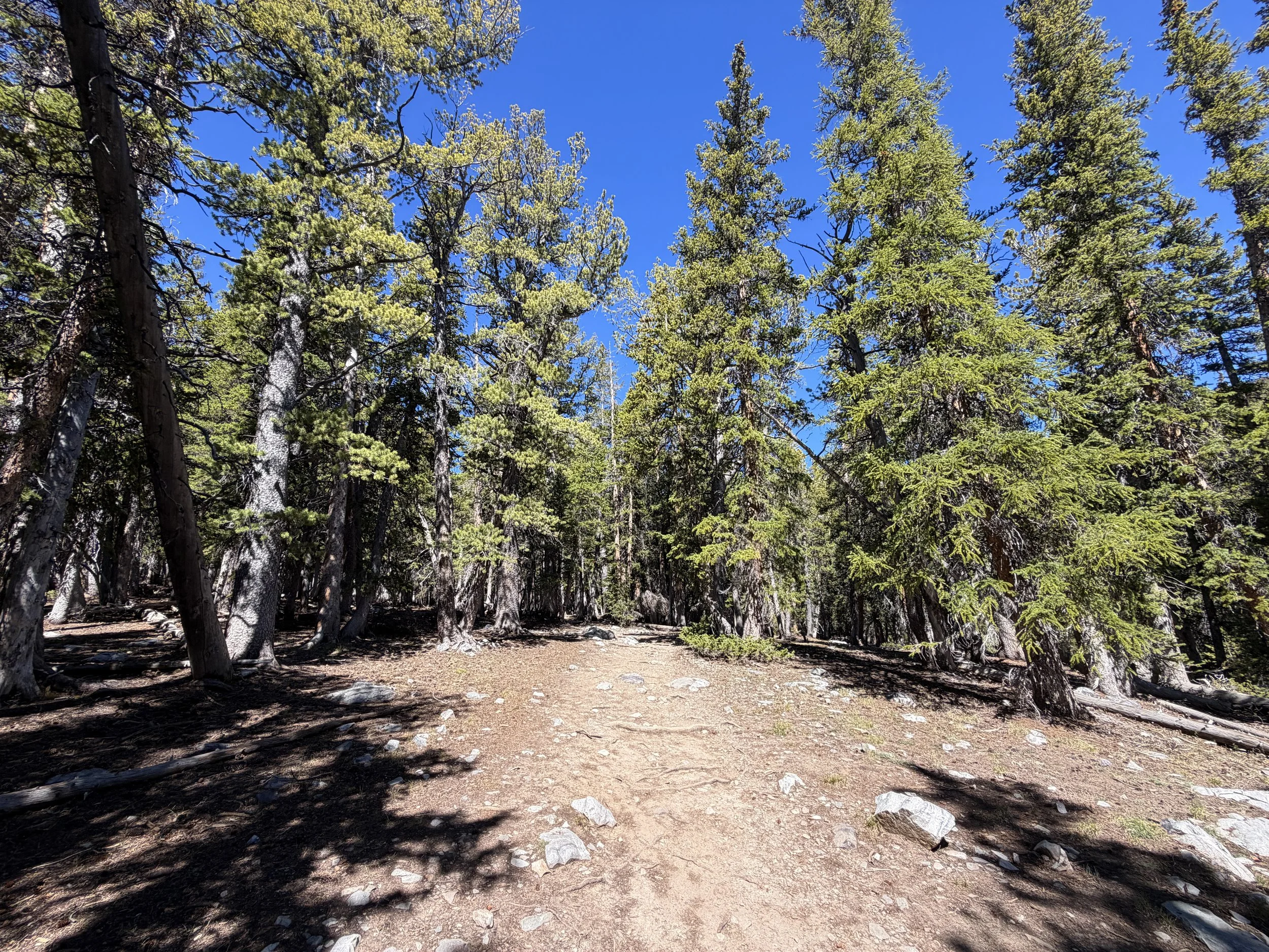 Alpine Lakes Loop Trail Great Basin National Park Nevada