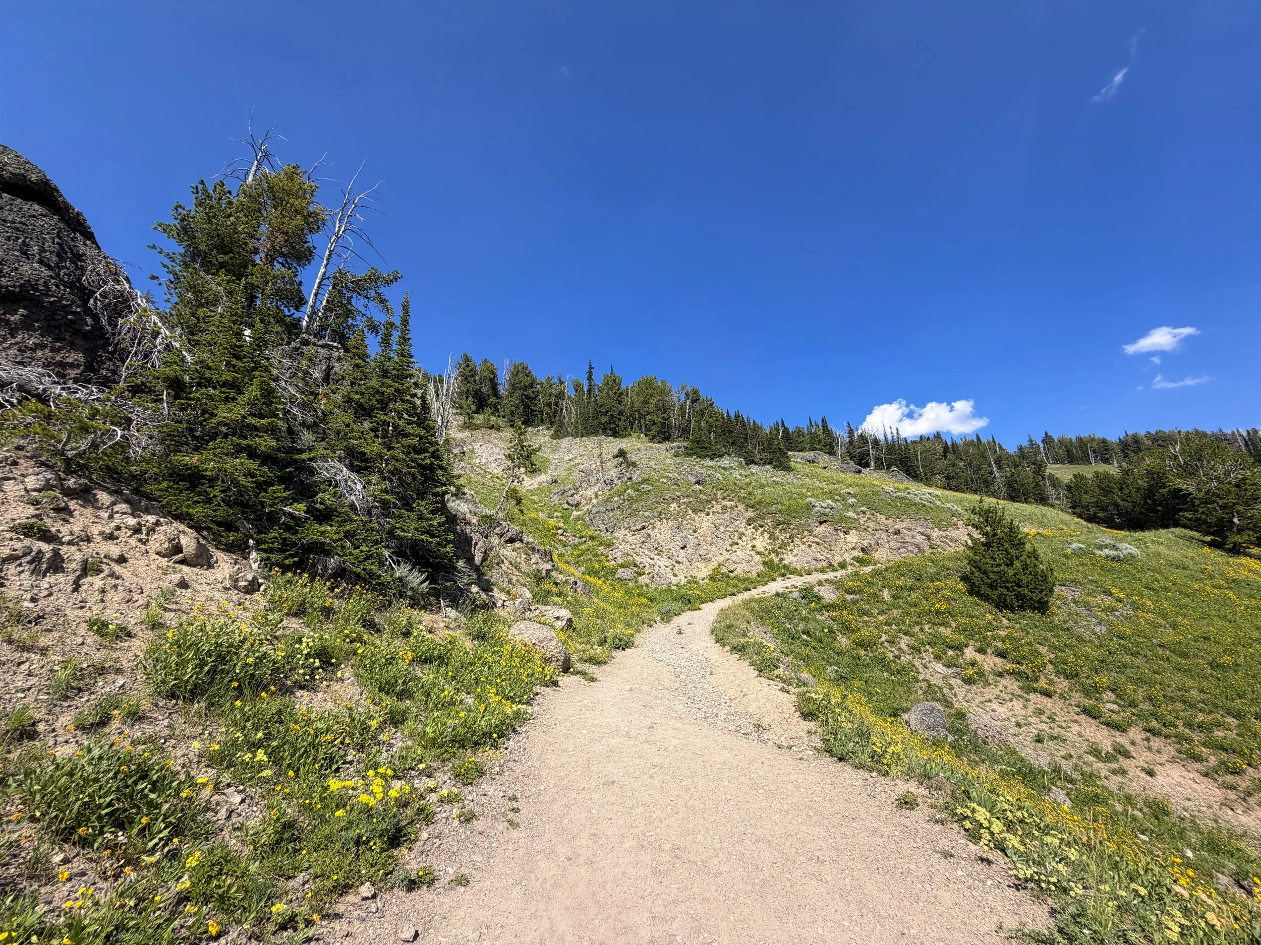 Mt. Washburn Trail via Dunraven Pass Yellowstone National Park Wyoming