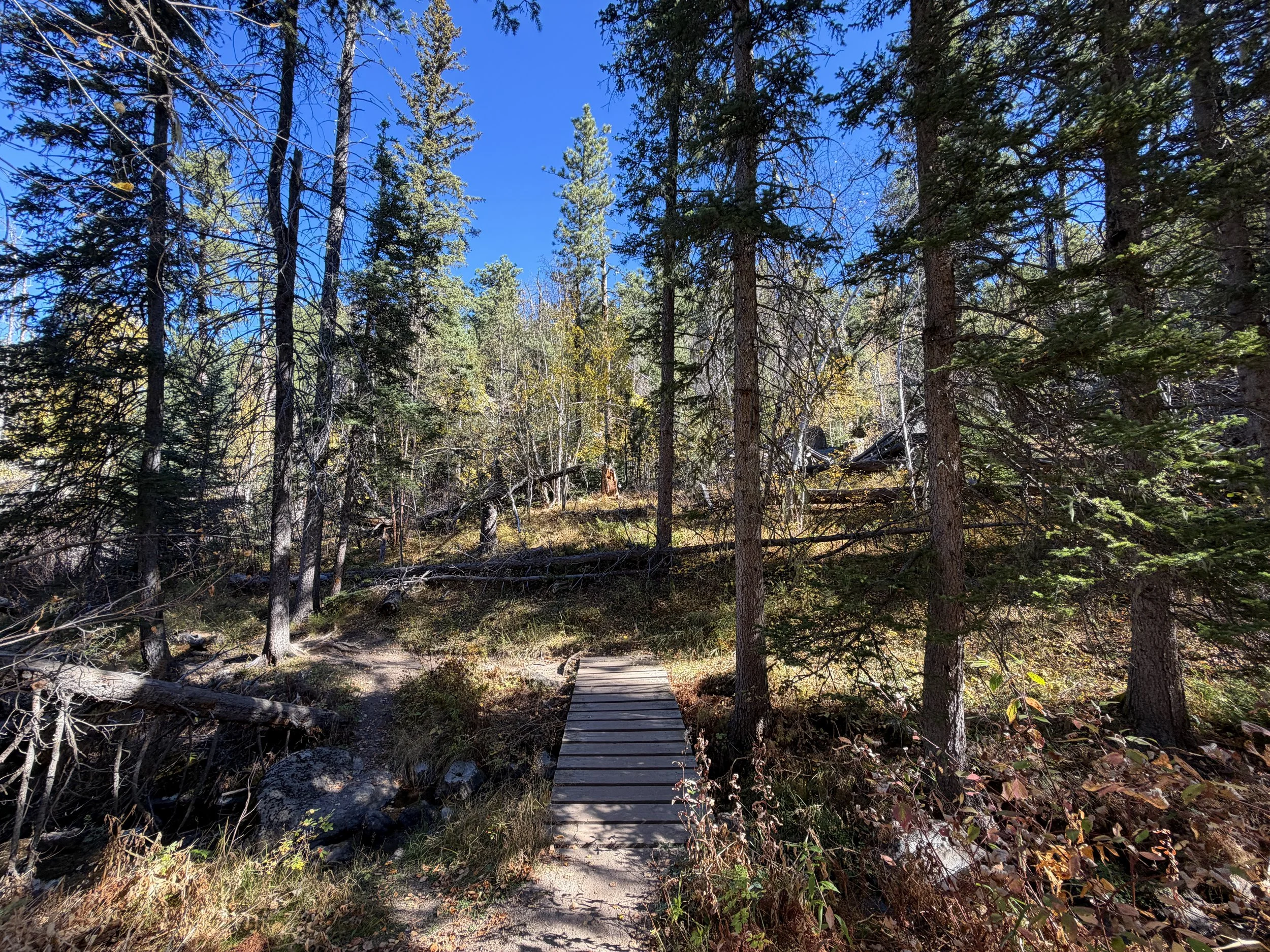 Sunday Gulch Loop Hike Custer State Park Black Hills South Dakota
