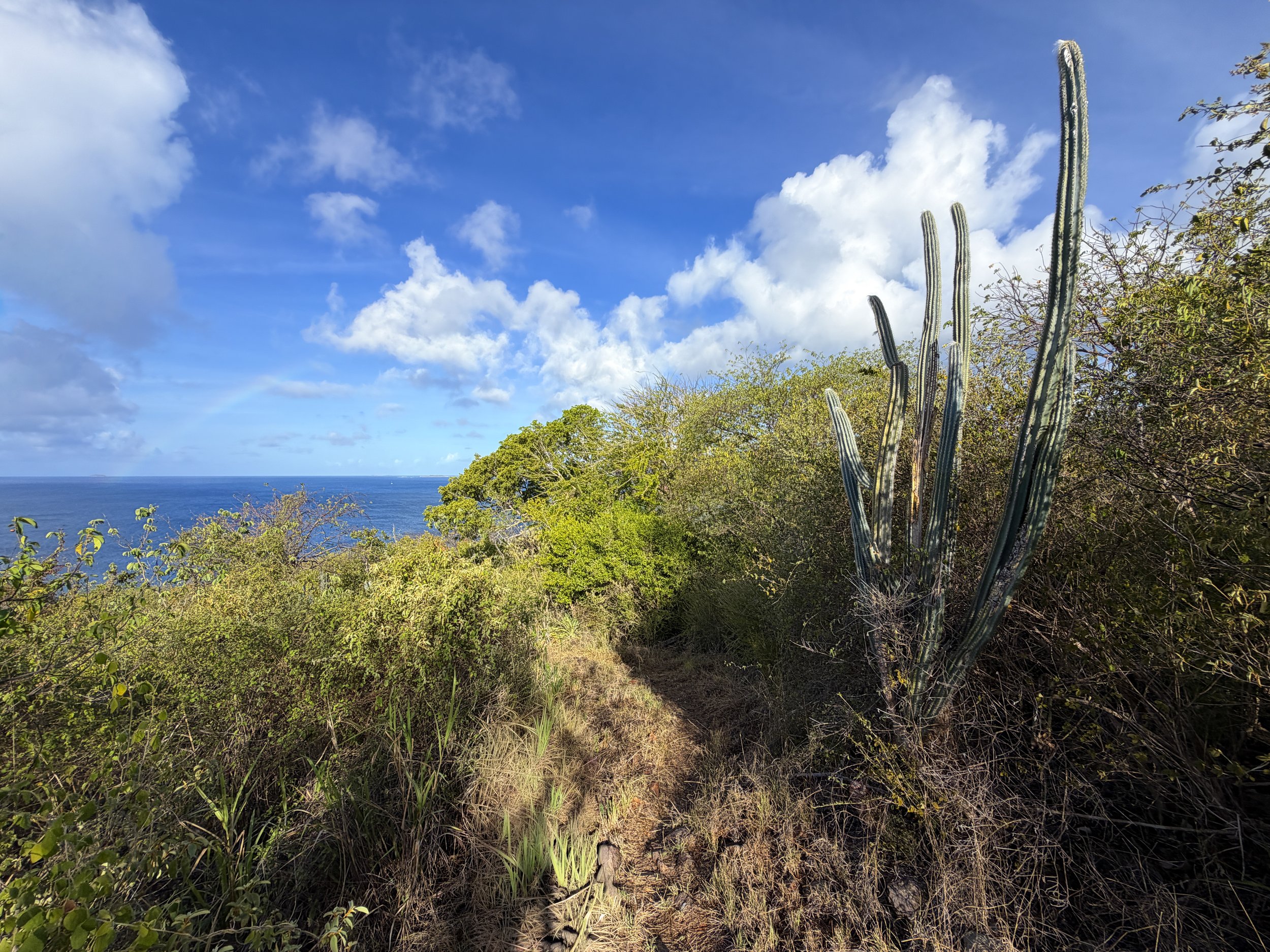 Cabritte Horn Trail Virgin Islands National Park