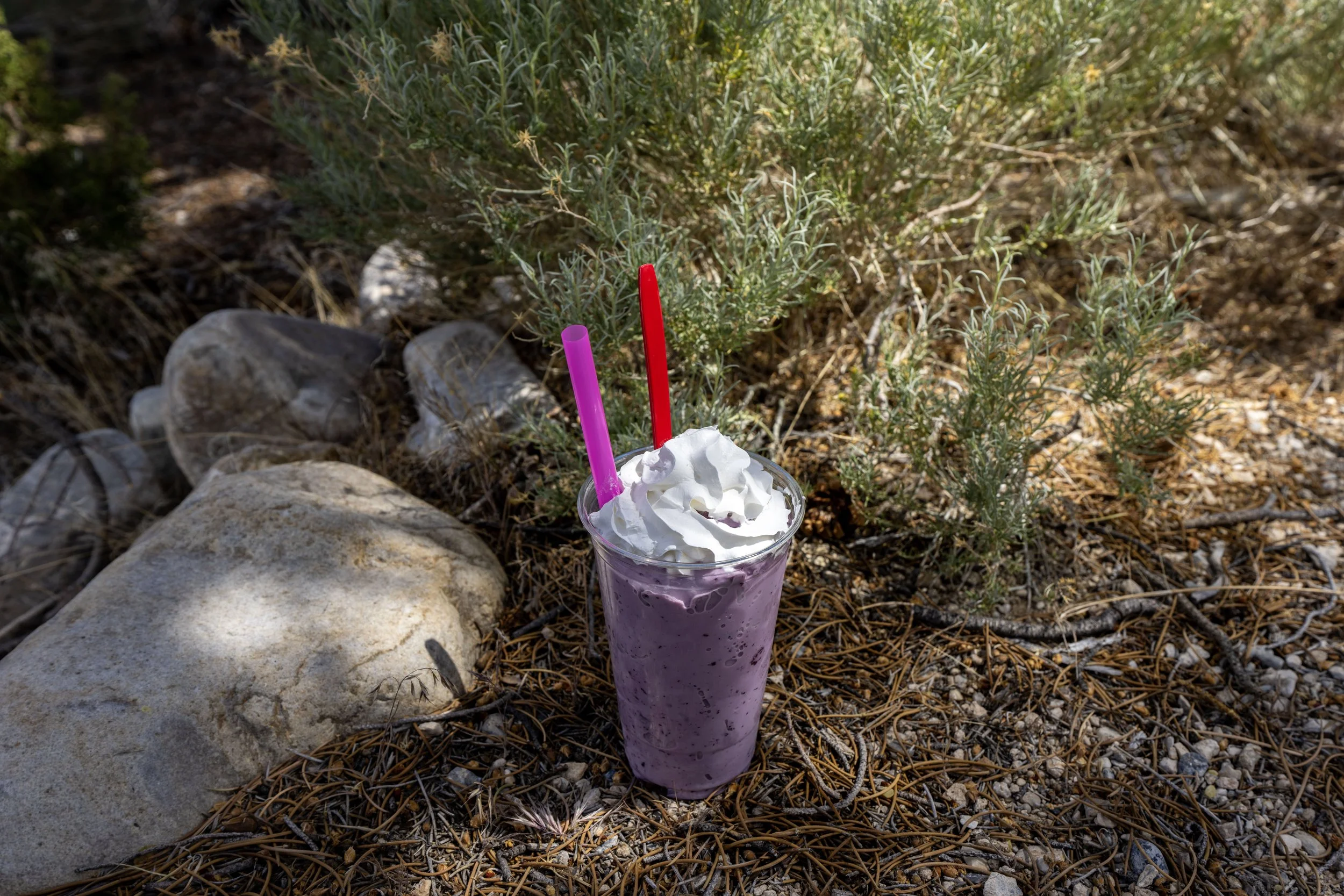 Milkshakes Great Basin Cafe Great Basin National Park