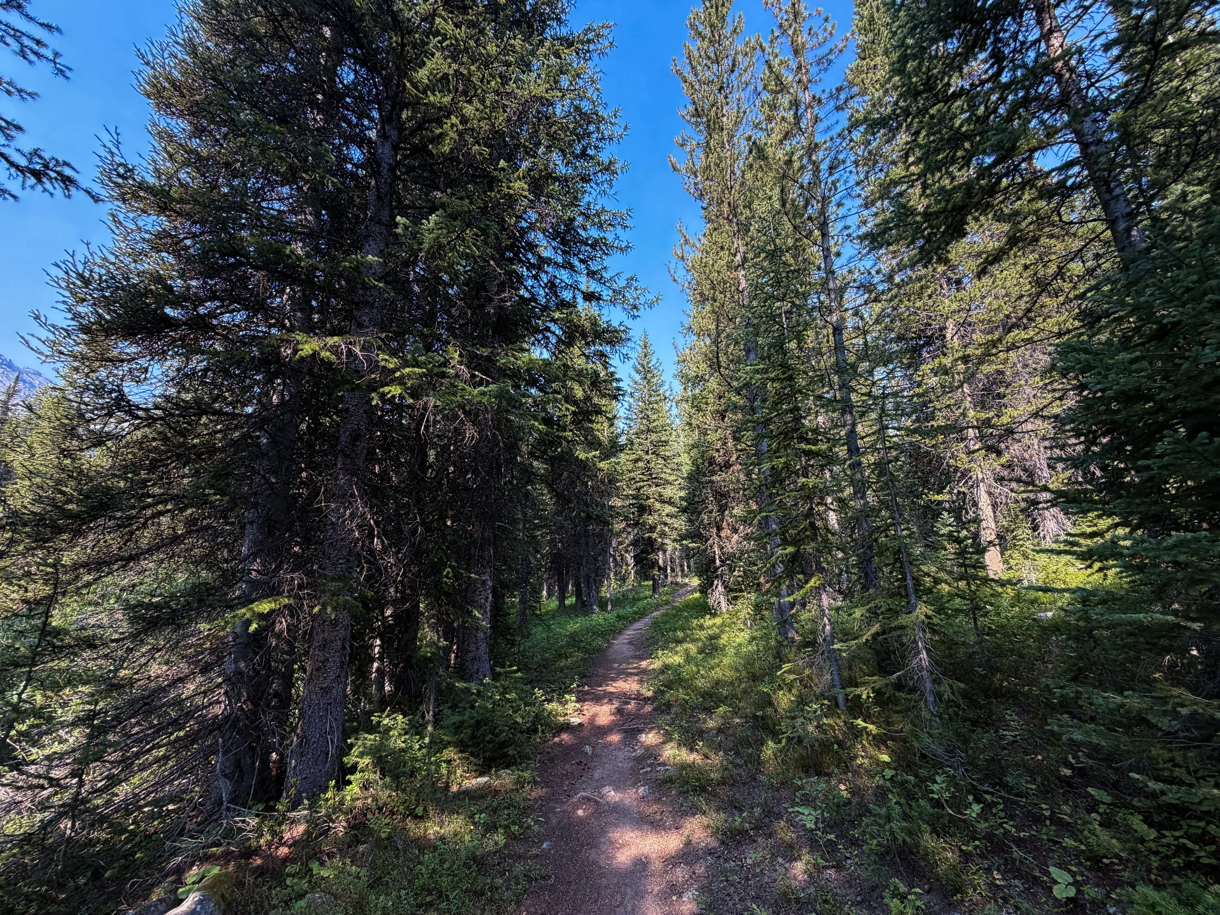 East Rosebud Trail The Beaten Path Beartooth Mountains Montana