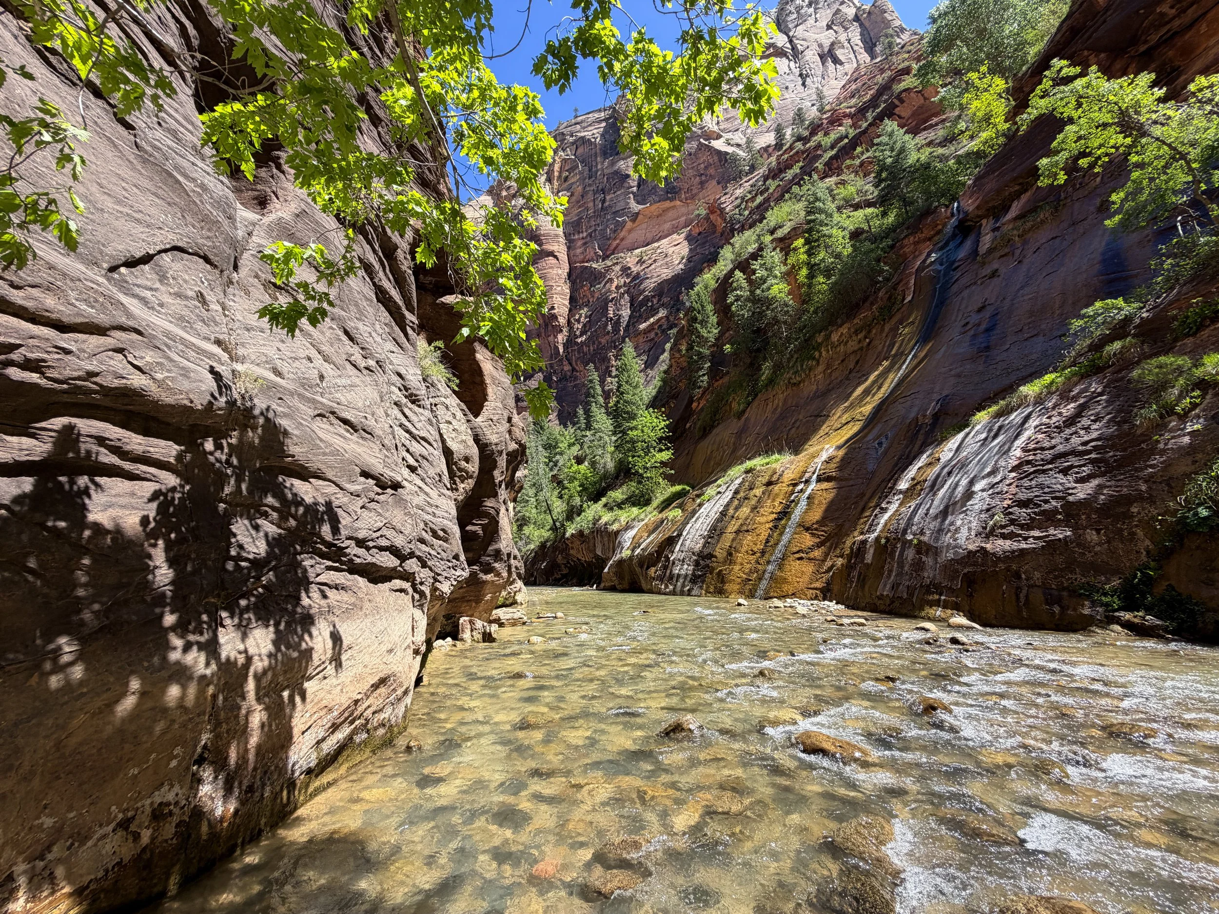 Mystery Falls Narrows Zion National Park Utah
