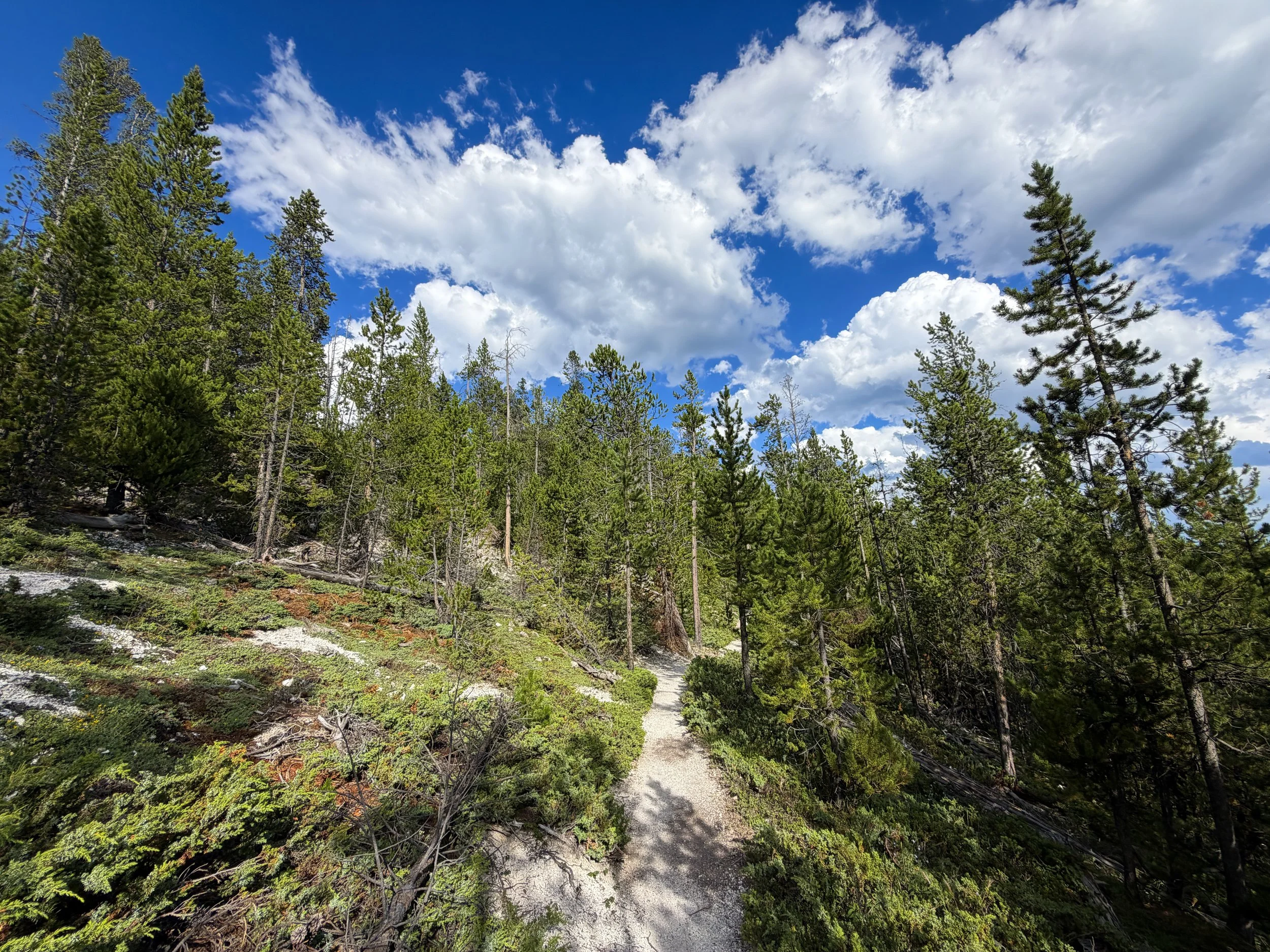 North Rim Trail Yellowstone National Park Wyoming