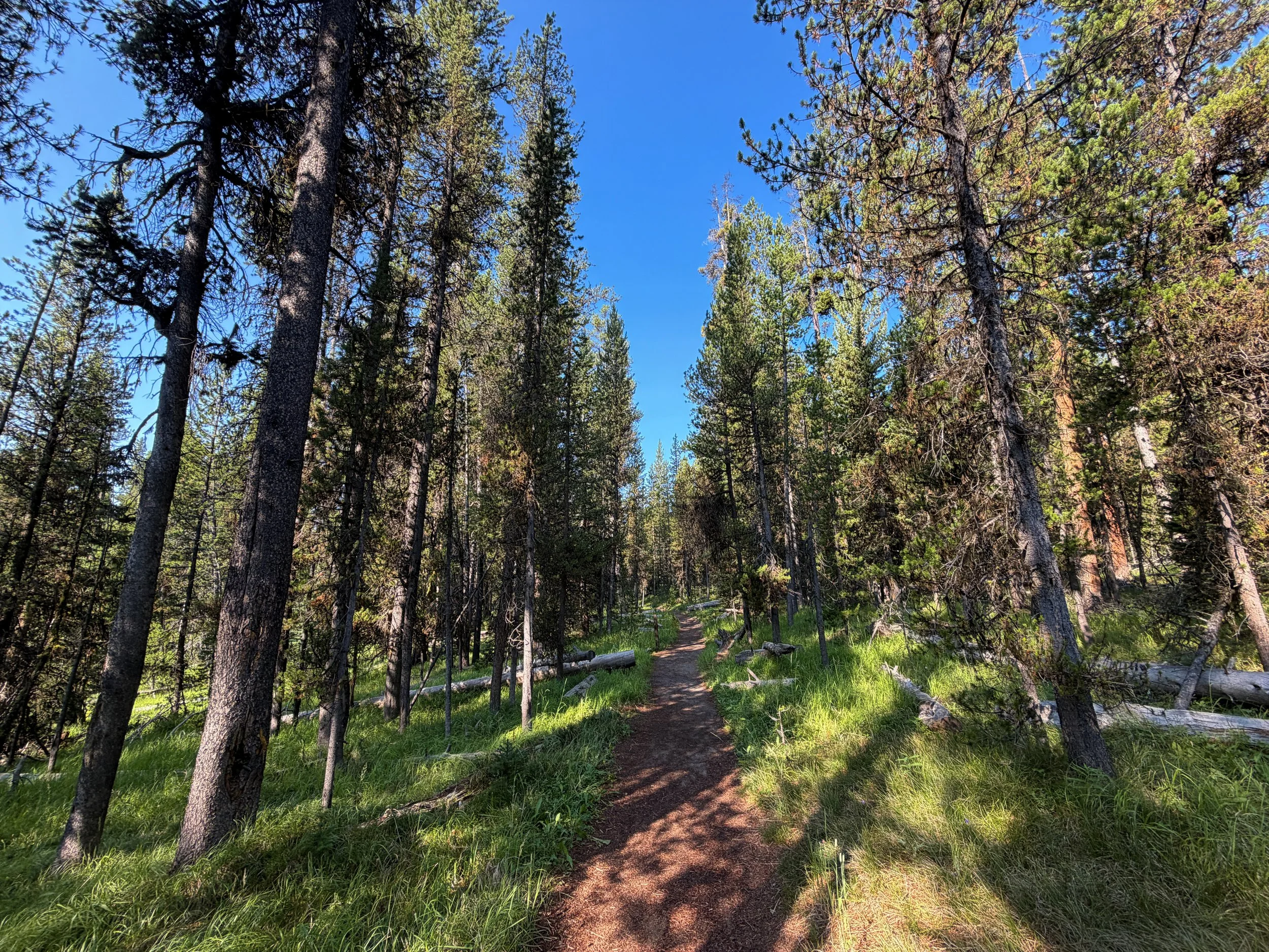Natural Bridge Trail Yellowstone National Park Wyoming