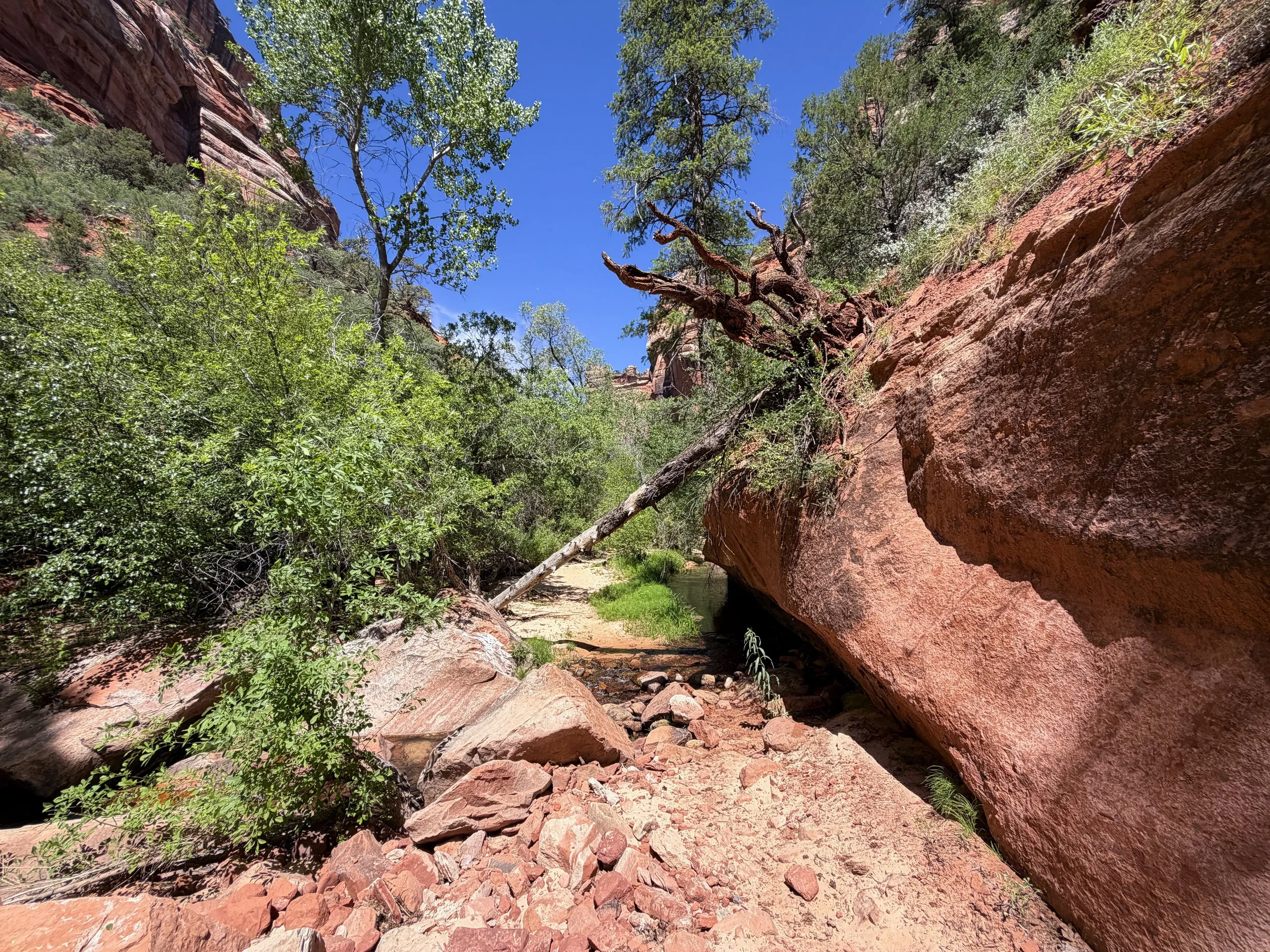 Subway Trail Zion National Park Utah