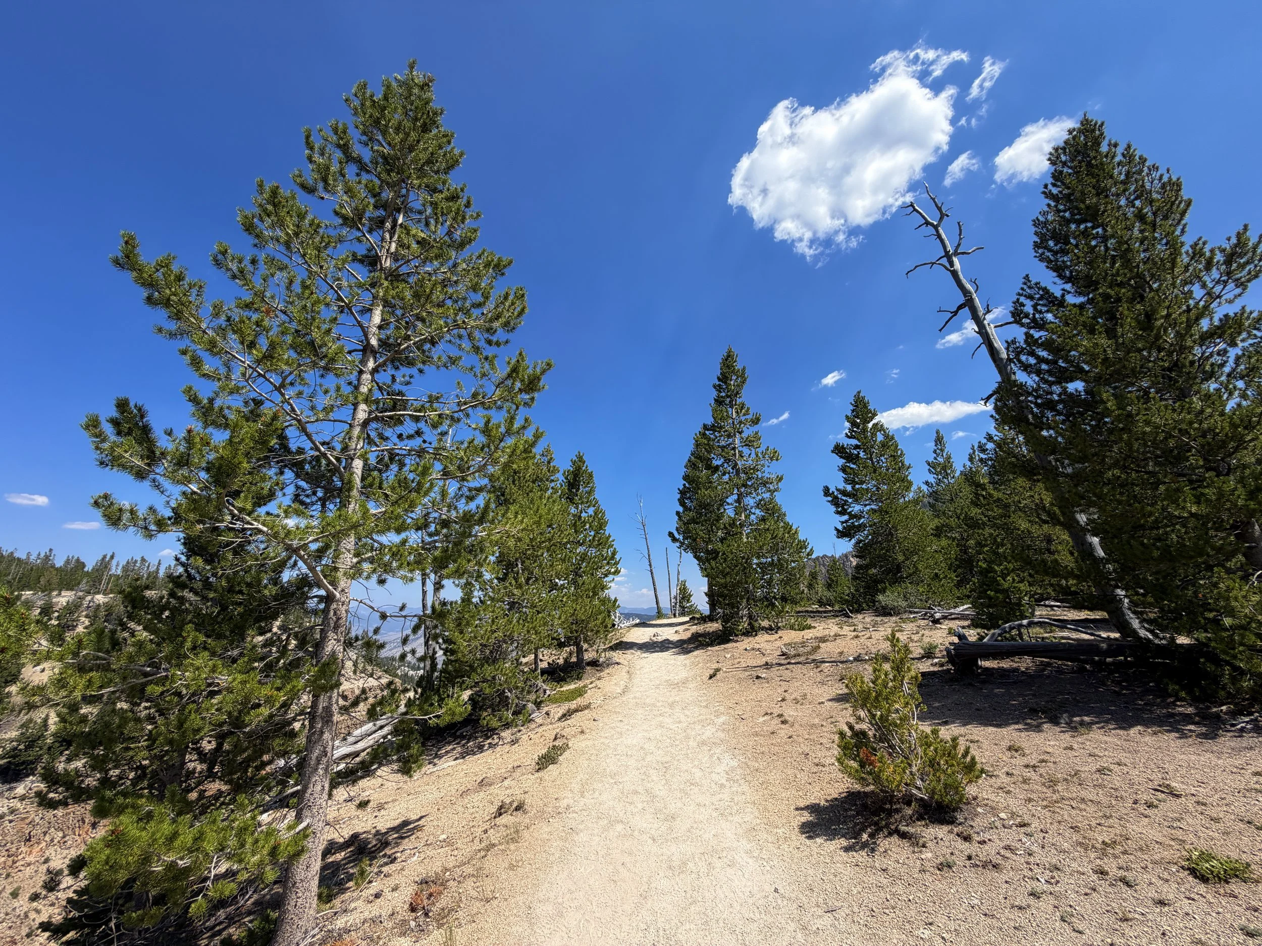 Bunsen Peak Trail Yellowstone National Park Wyoming