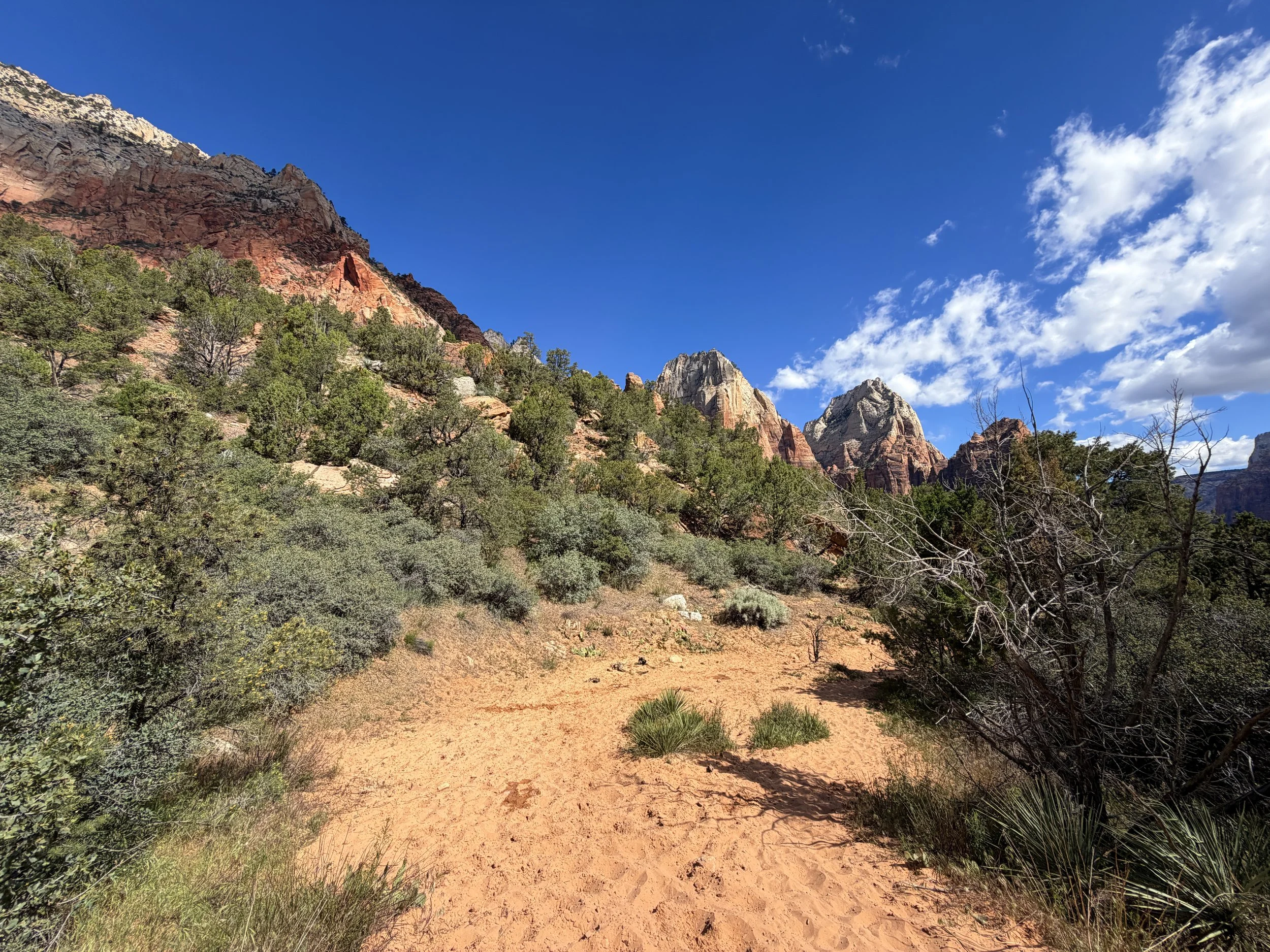 Sand Bench Loop Trail Zion National Park Utah
