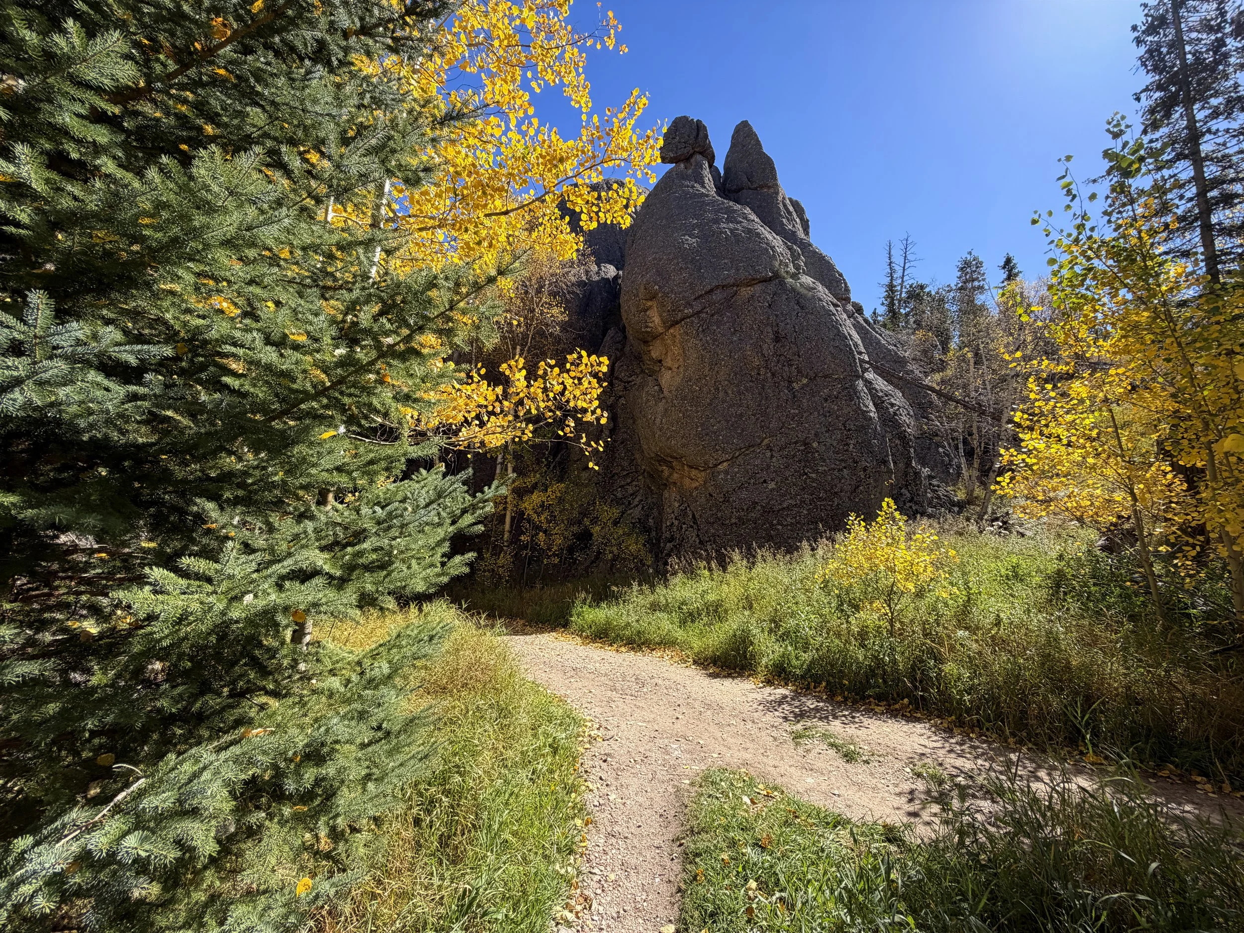 Sunday Gulch Trail Custer State Park Black Hills South Dakota