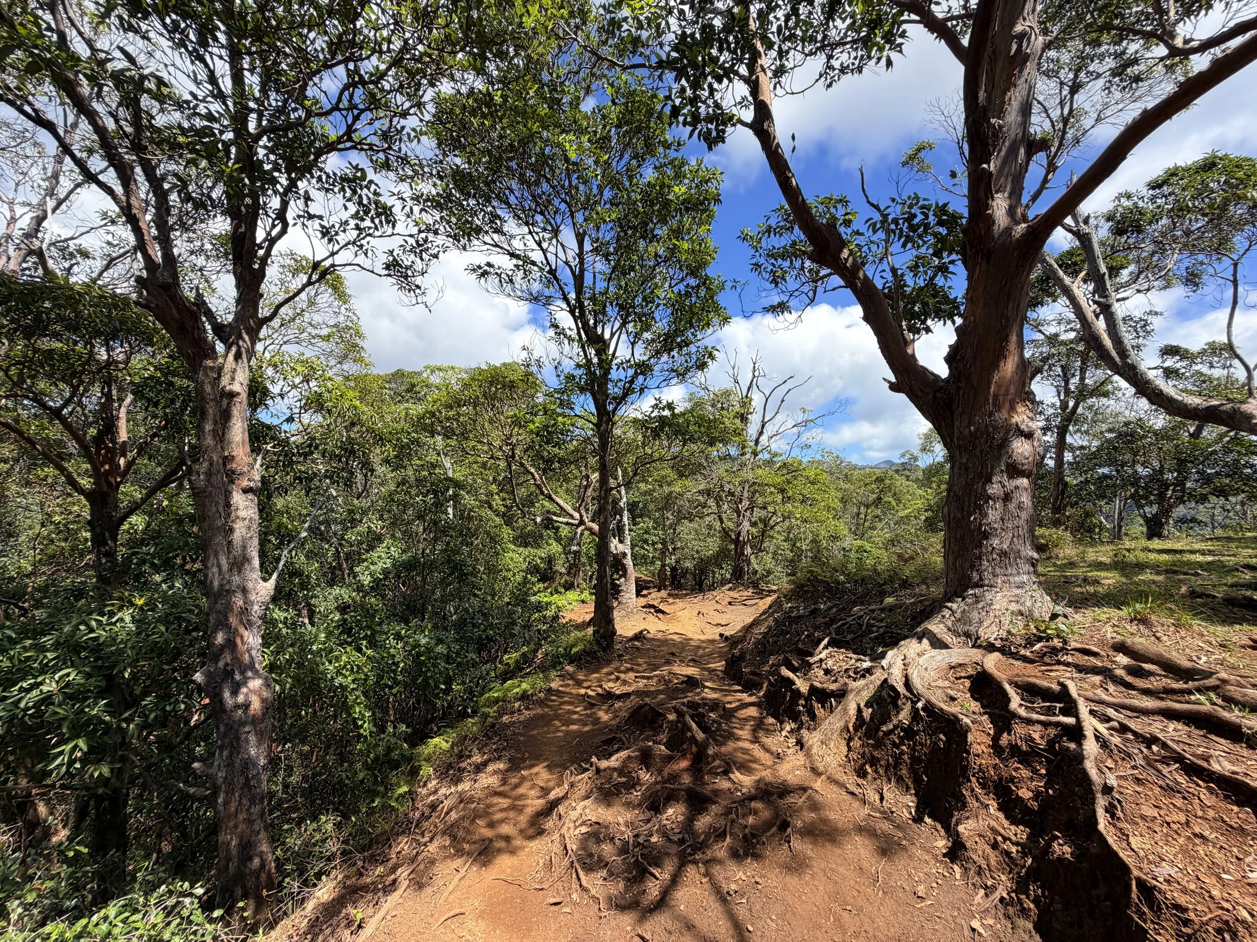 Waimano Pools Hike Oahu Hawaii
