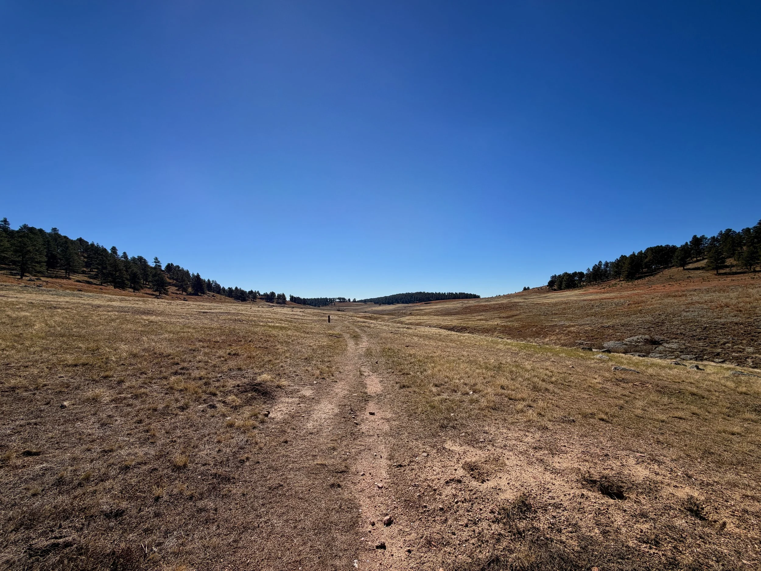 Sanctuary Trail to Highland Creek Trail Wind Cave National Park South Dakota