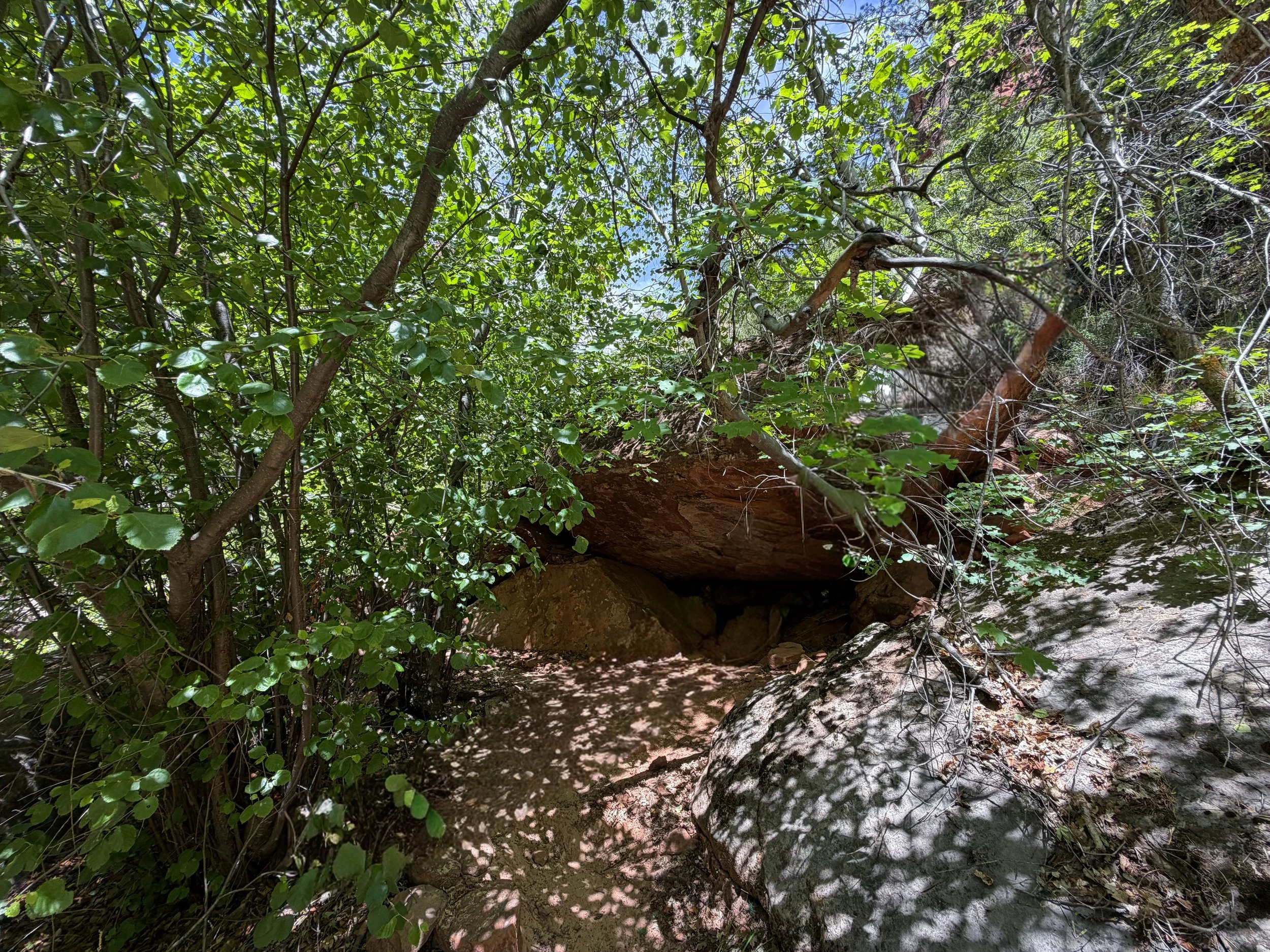 Subway Hike Zion National Park Utah