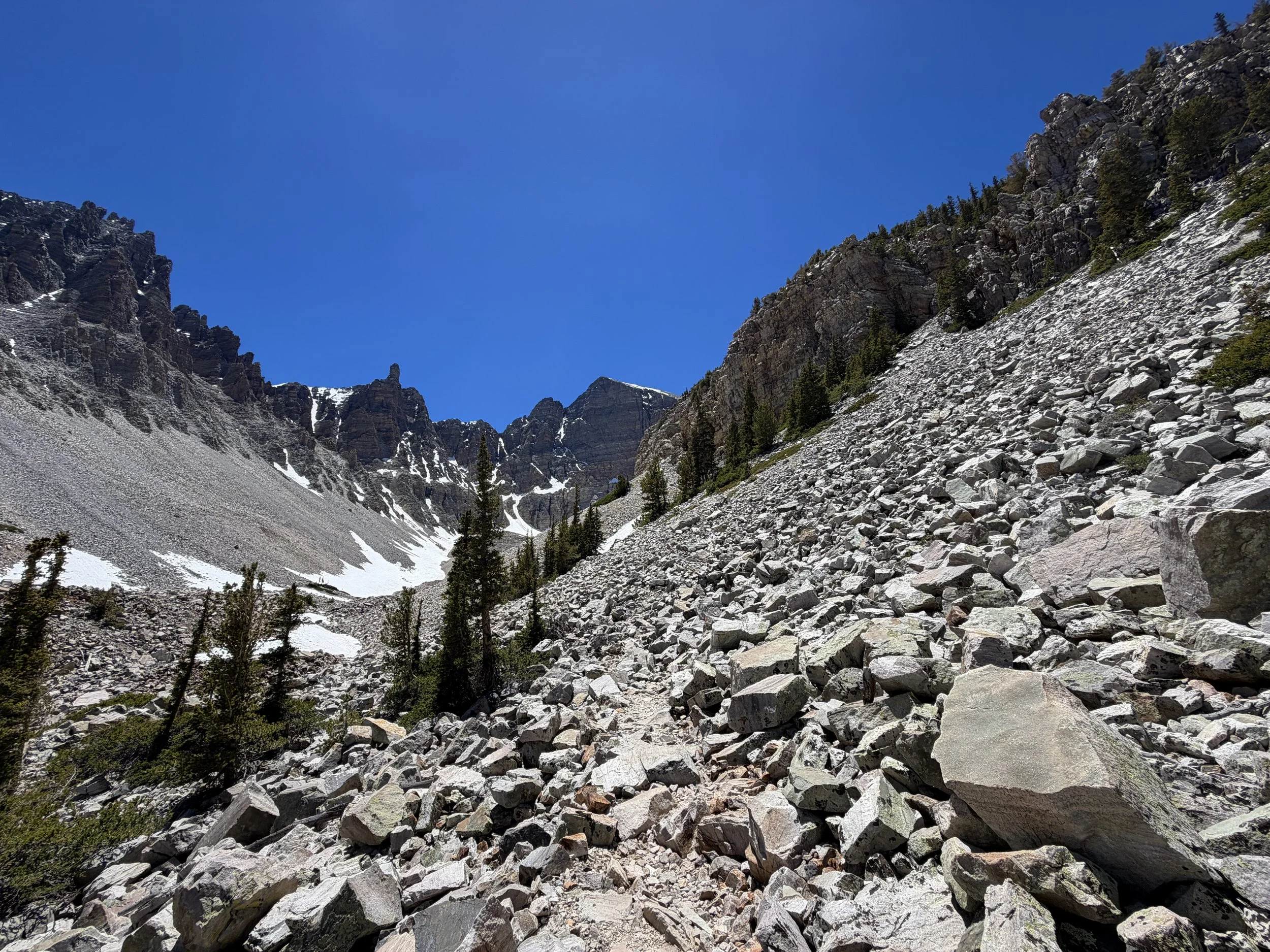 Glacier Trail Great Basin National Park Nevada