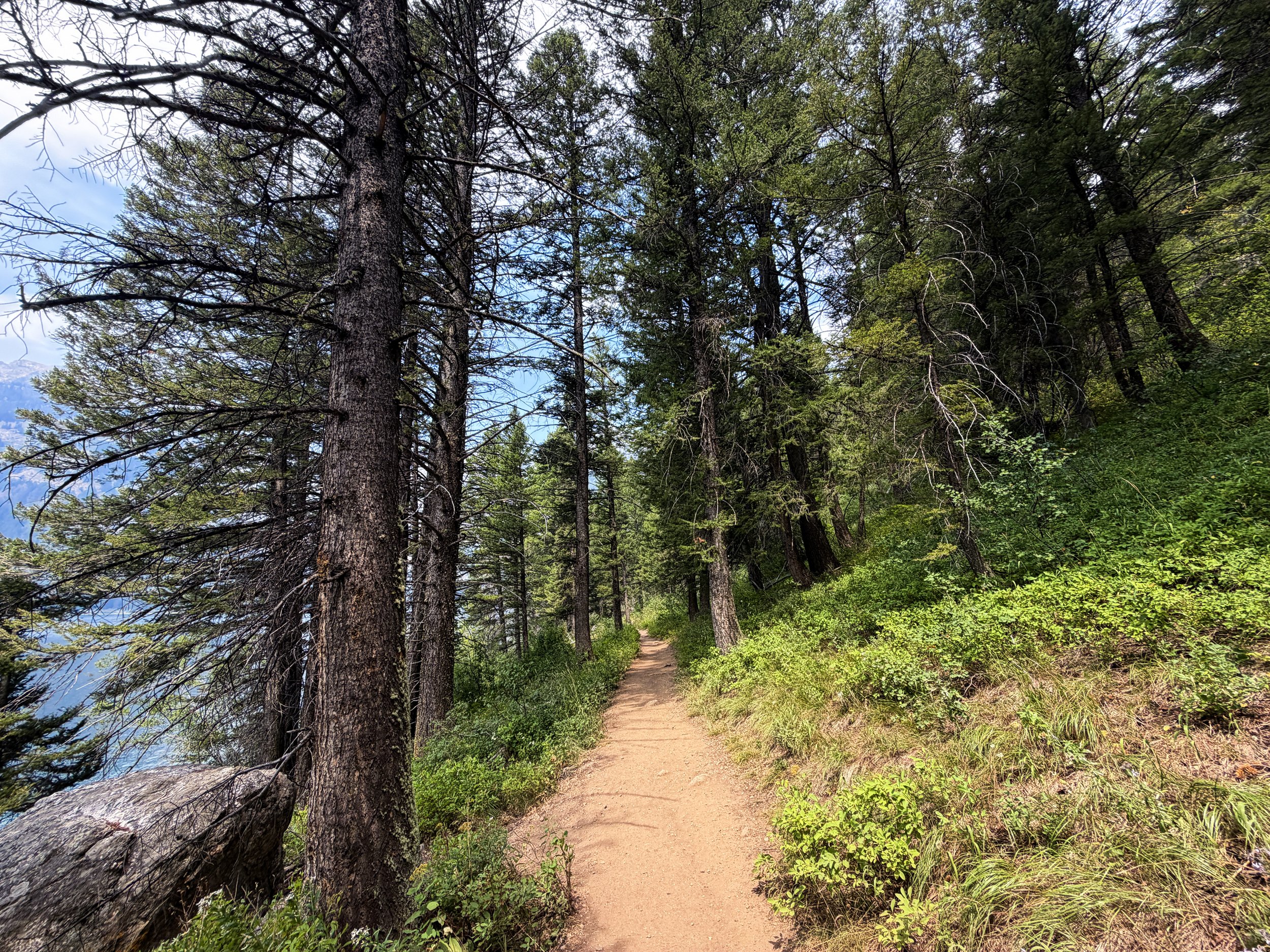 Phelps Lake Trail to Jumping Rock Grand Teton National Park Wyoming