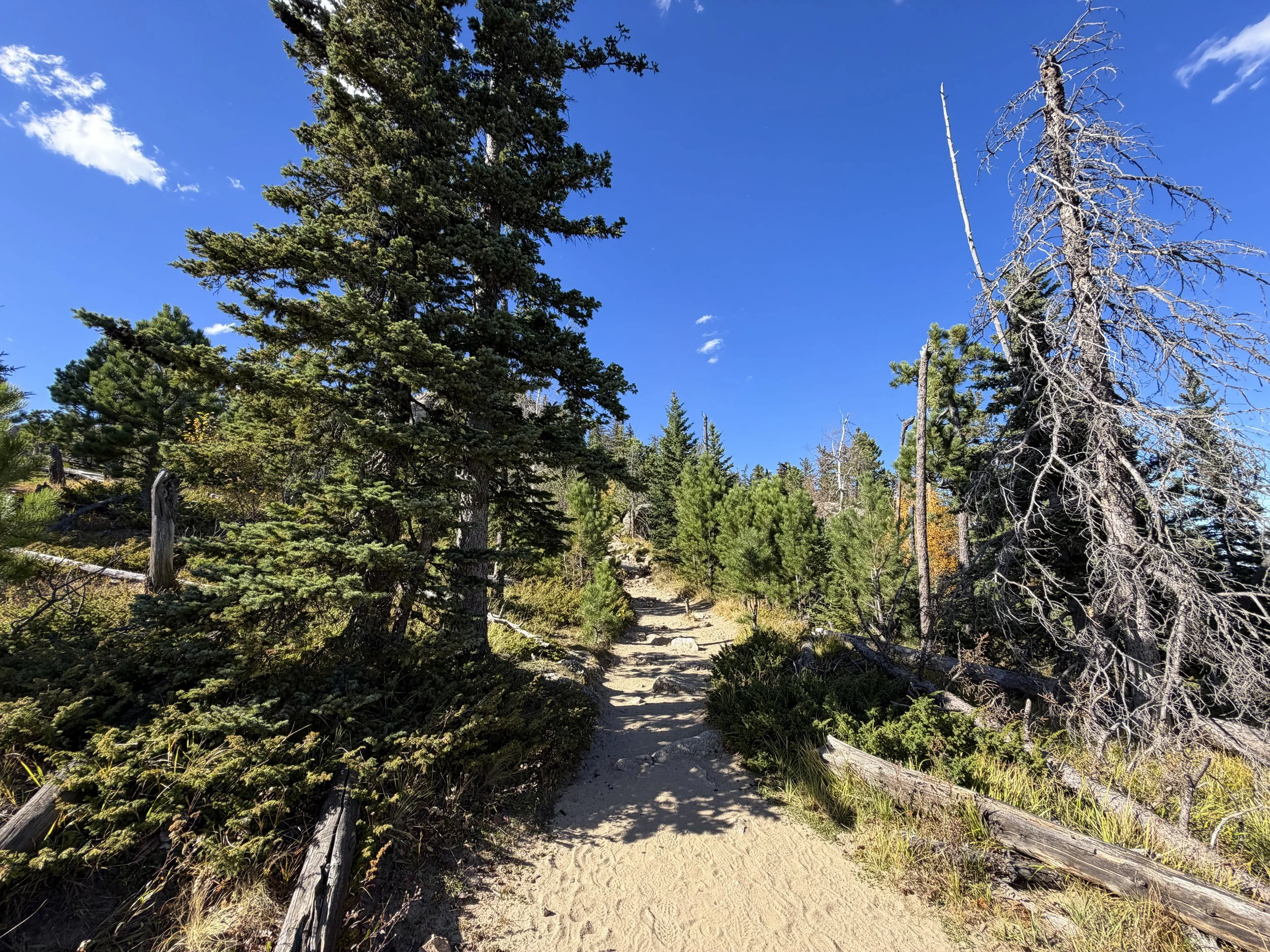 Black Elk Peak Trail to Harney Peak Lookout Black Hills South Dakota