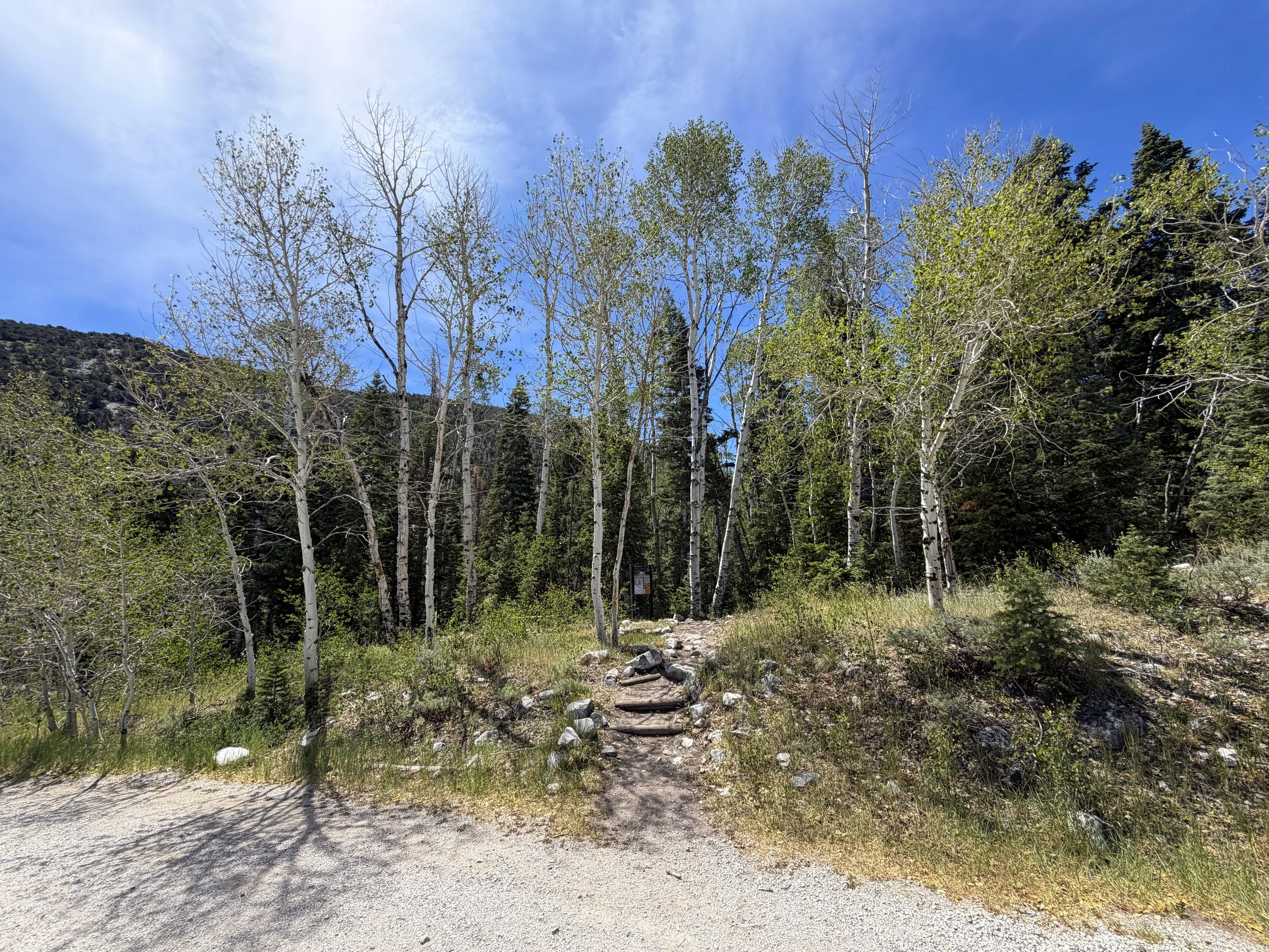 Timber Creek Loop Trailhead Great Basin National Park Nevada