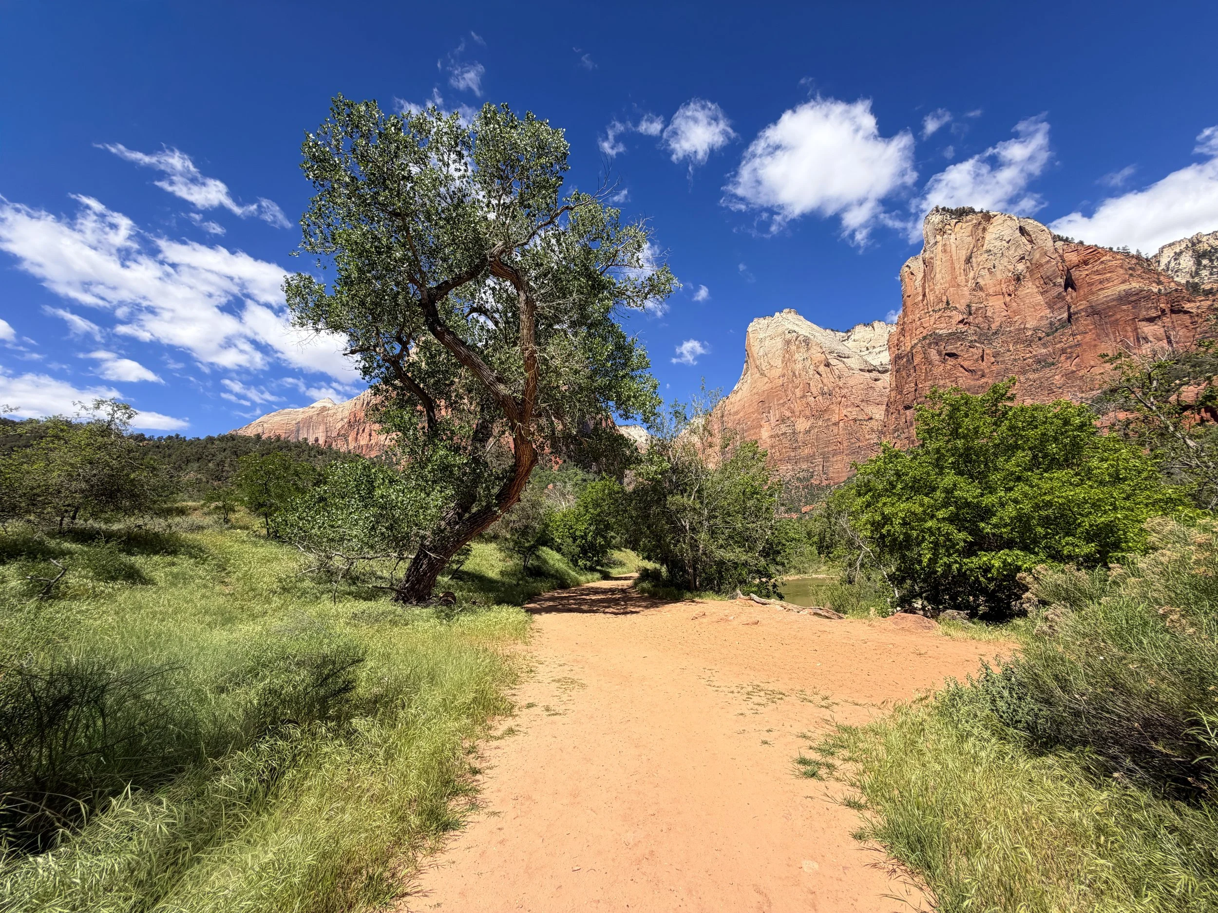 Sand Bench Trail Zion National Park Utah