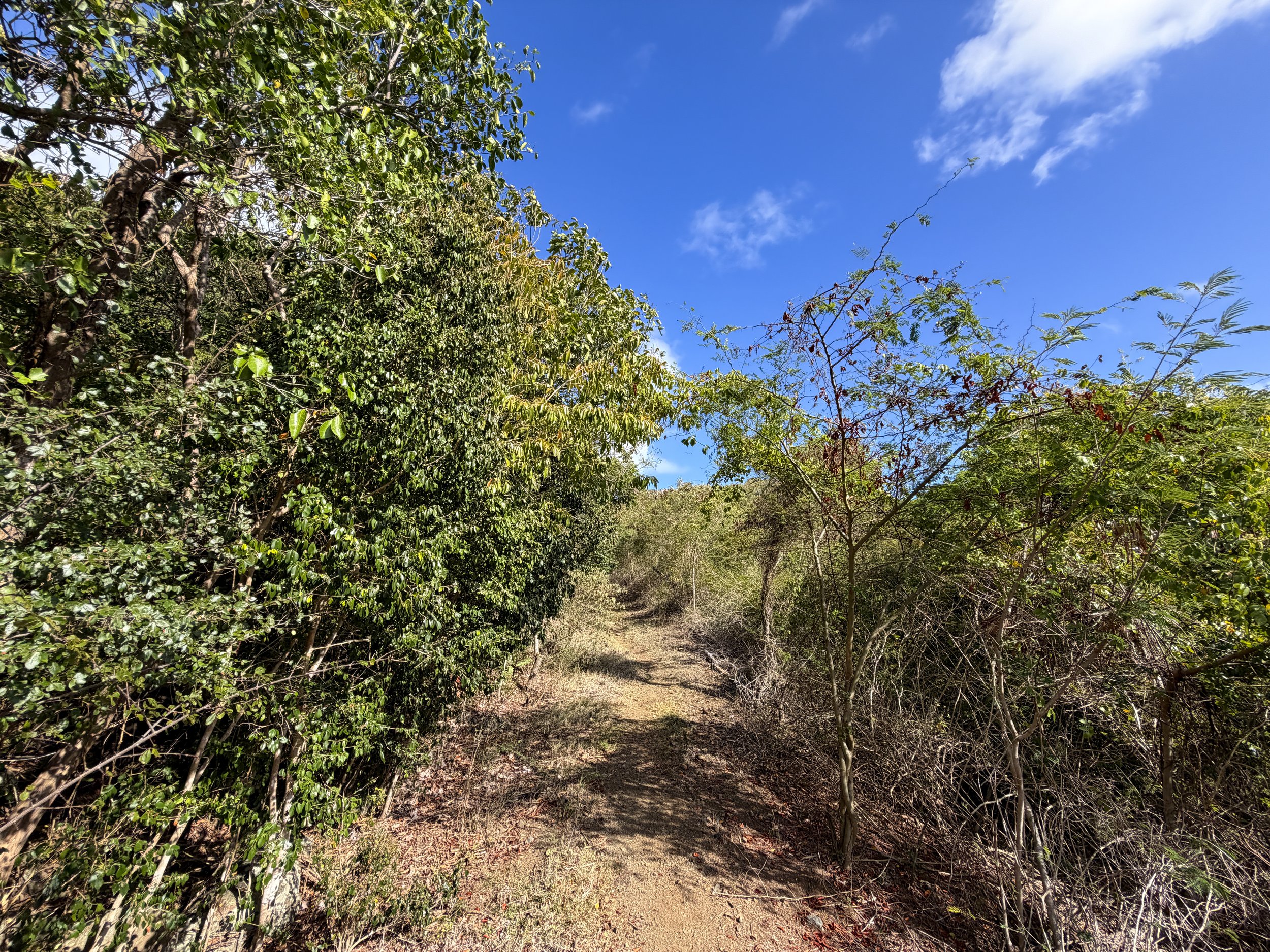 Johnny Horn Hike Virgin Islands National Park