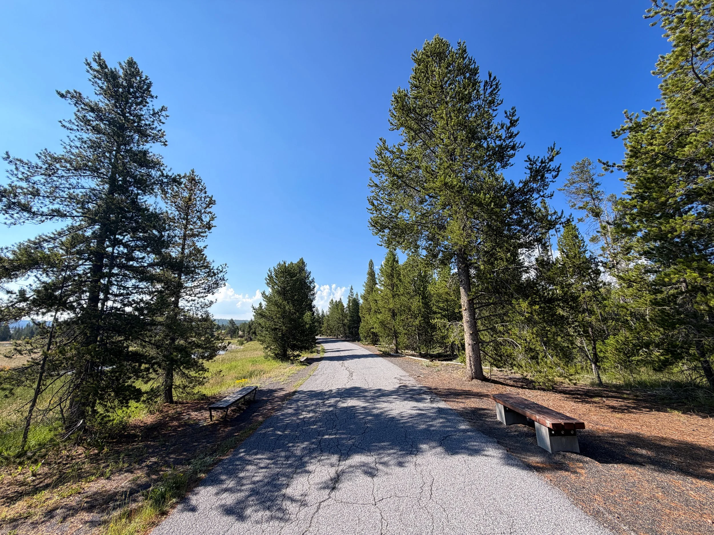 Upper Geyser Basin Trail Yellowstone National Park Wyoming