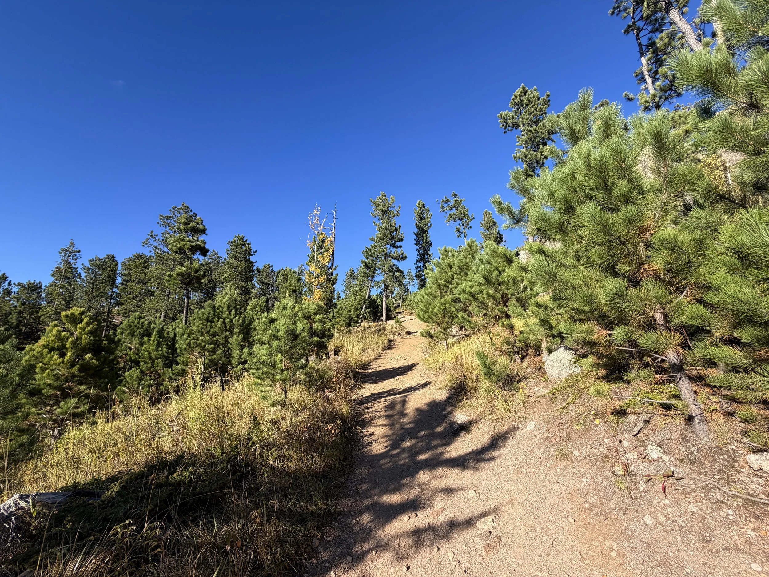 Little Devils Tower Trail Custer State Park Black Hills South Dakota