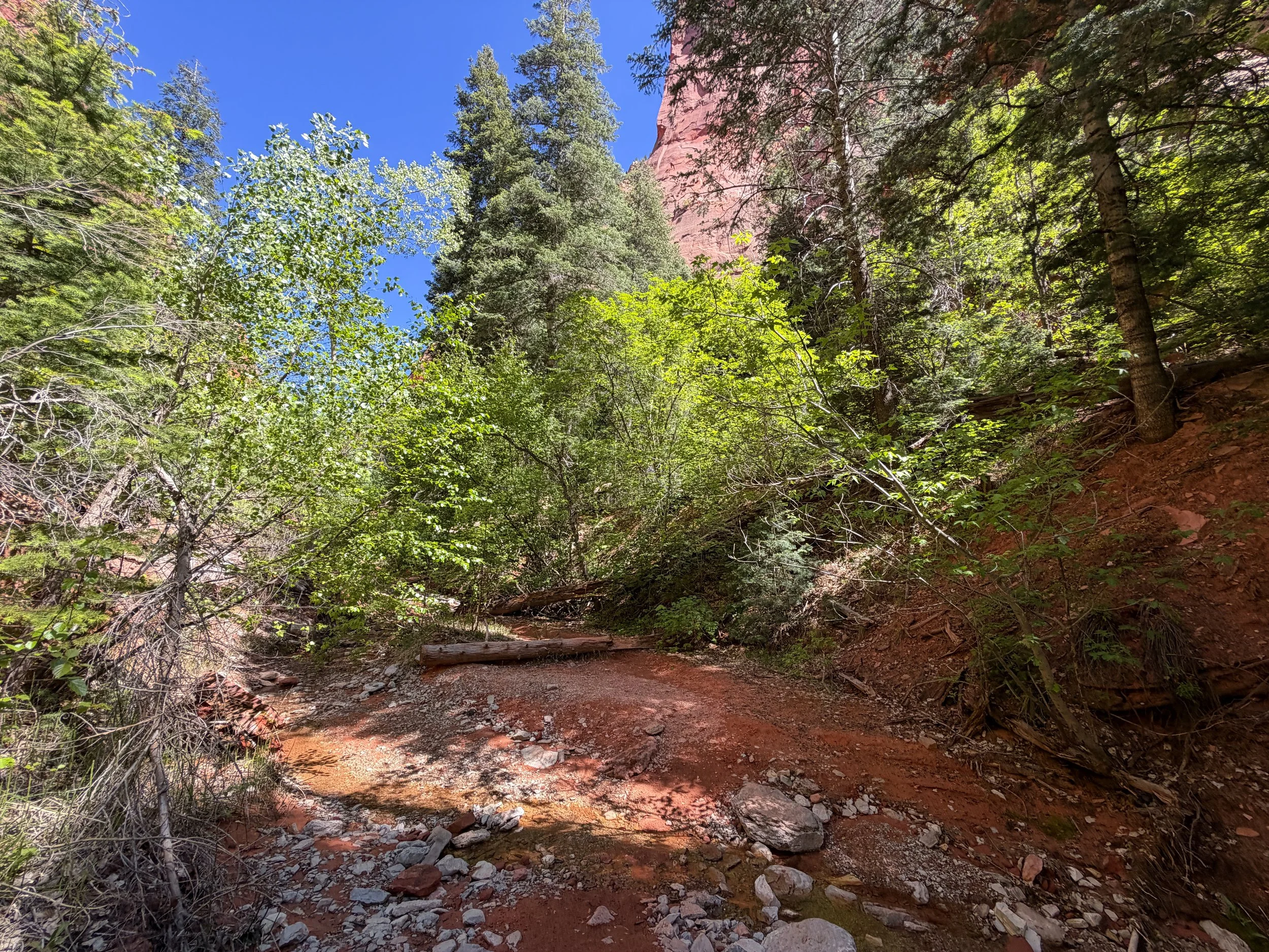 Middle Taylor Creek Trail Zion National Park Utah