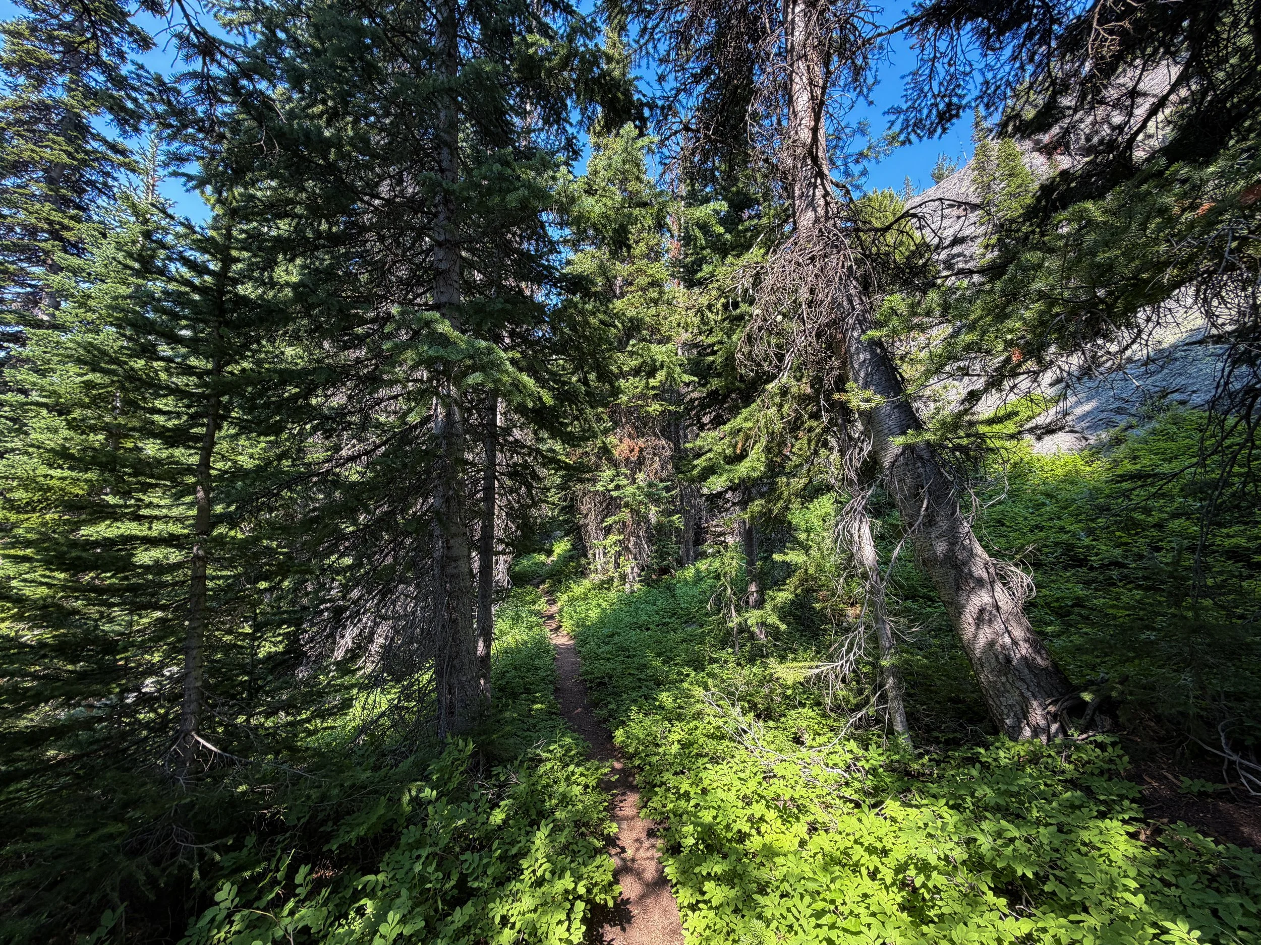 East Rosebud Trail The Beaten Path Beartooth Mountains Montana