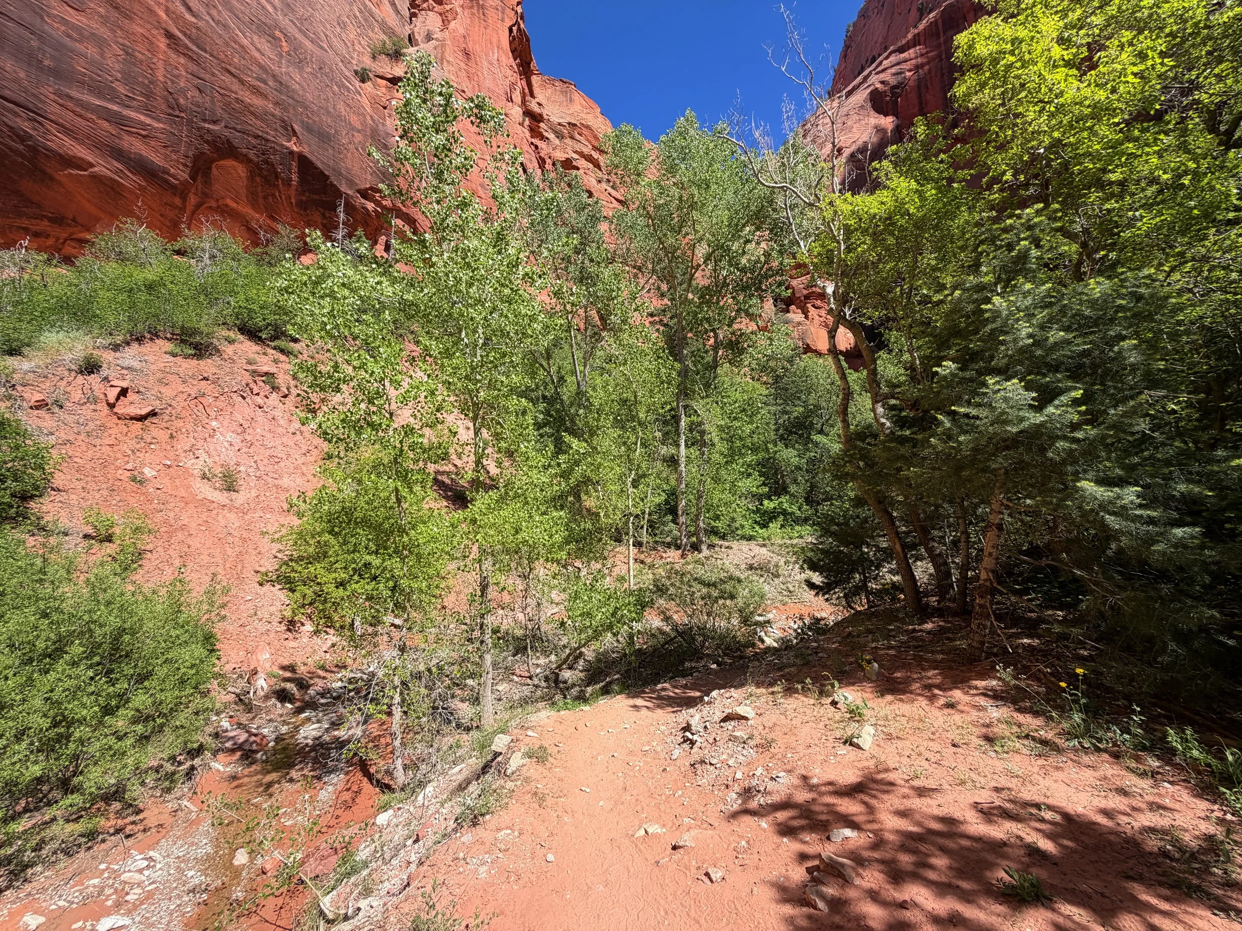 Taylor Creek Trail Zion National Park Utah