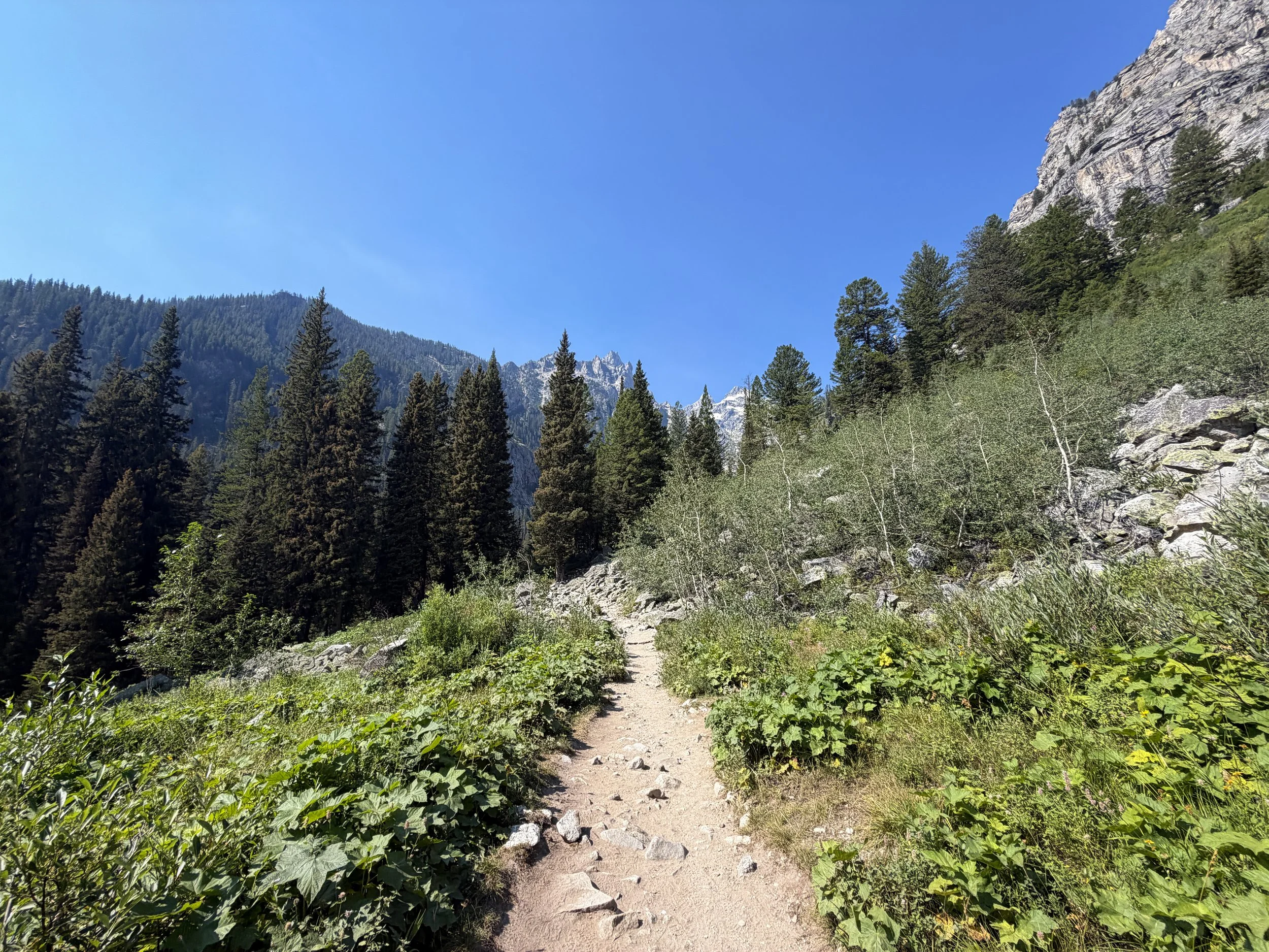 Cascade Canyon Trail Grand Teton National Park Wyoming