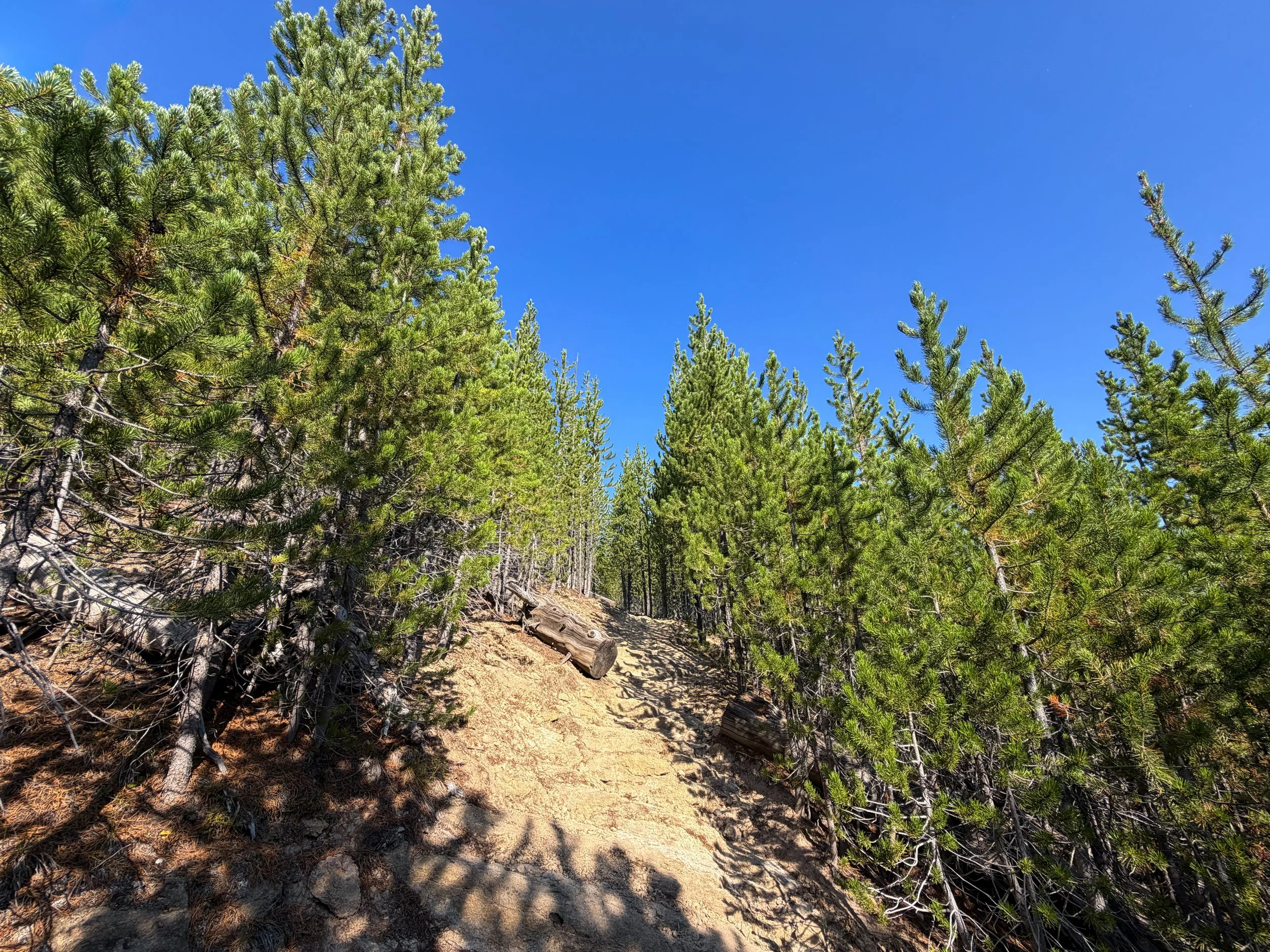 Monument Geyser Basin Trail Yellowstone National Park Wyoming