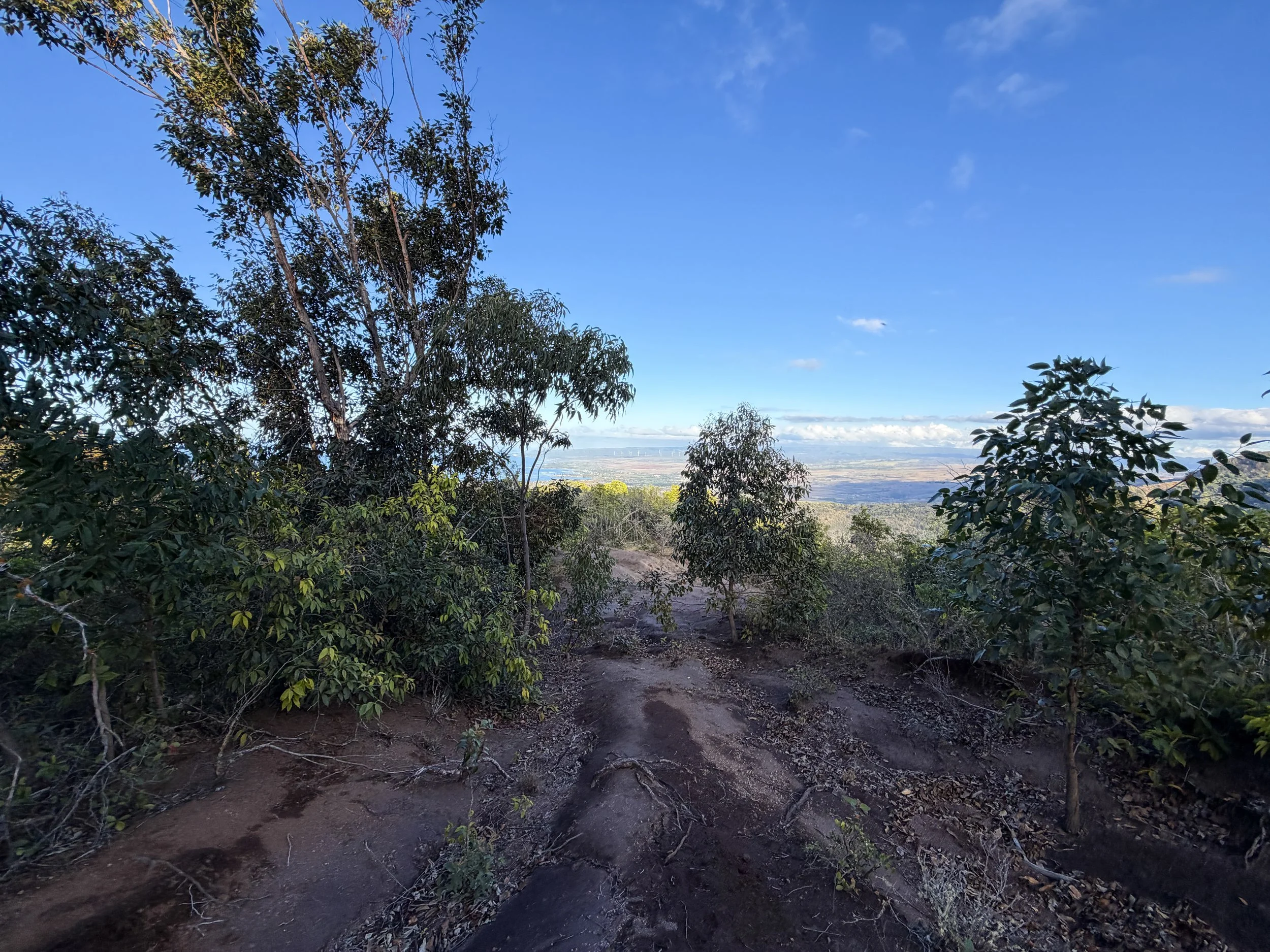 Mokuleia Trail Oahu Hawaii
